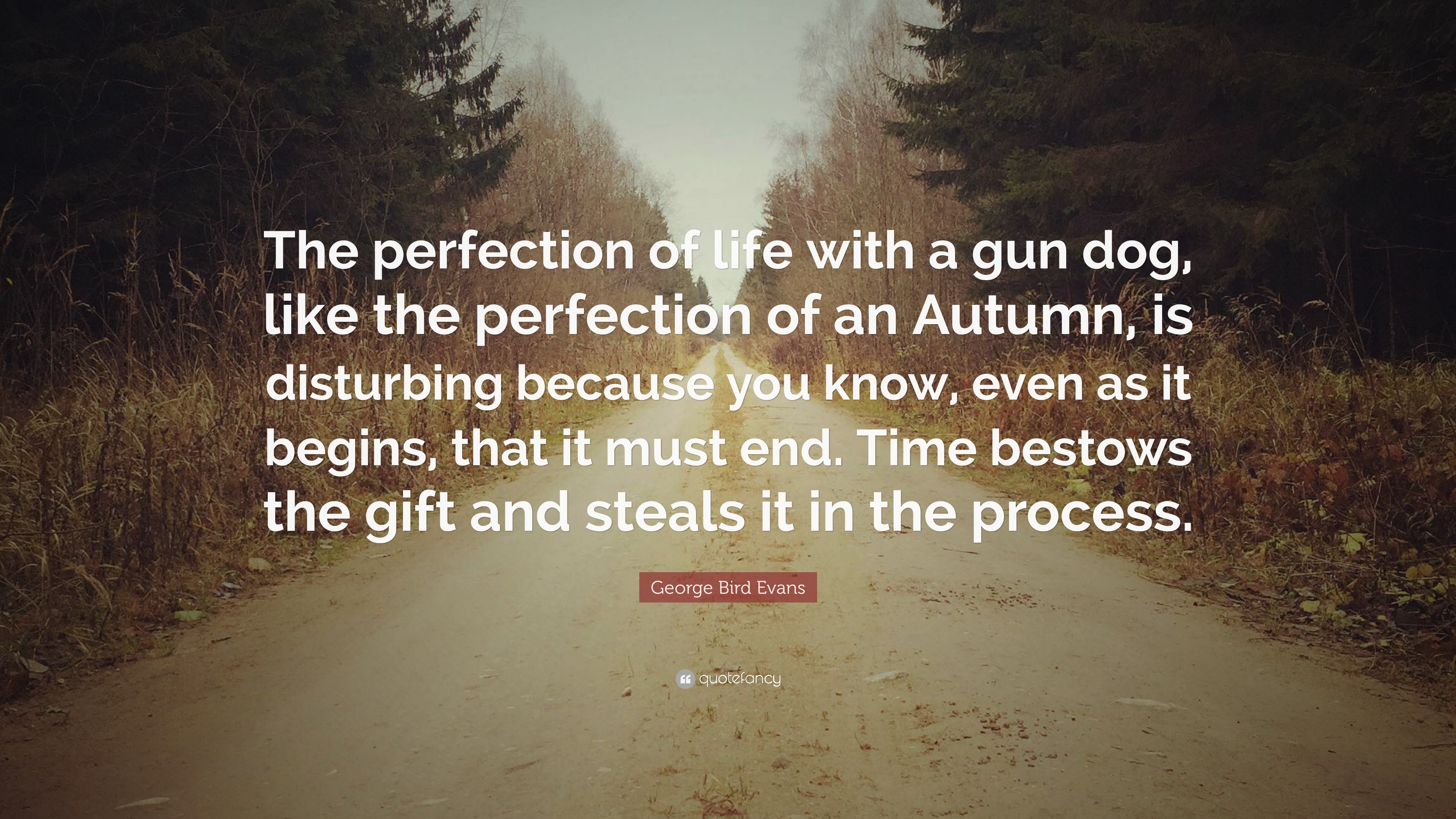 George Bird Evans Quote: “The perfection of life with a gun dog