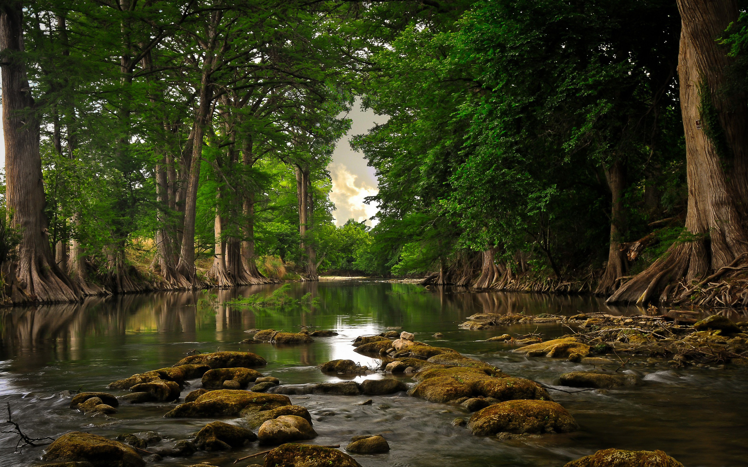 Daily Wallpaper: Secluded River. I Like To Waste My Time