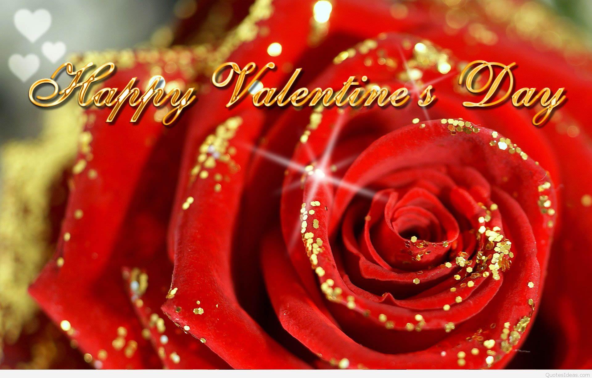 Happy Valentine's day roses, sayings, image and background
