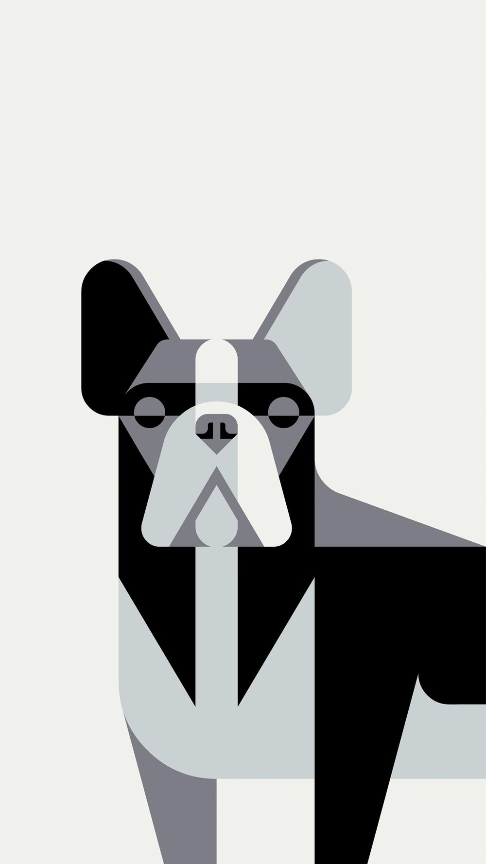 Josh Brill. French Bulldog Portrait