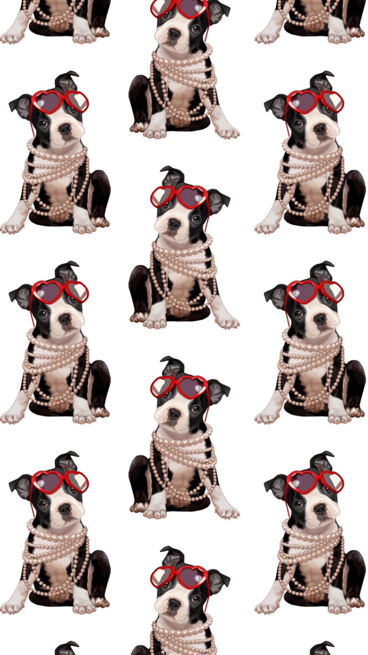 Boston Terrier iPhone Wallpapers - Wallpaper Cave