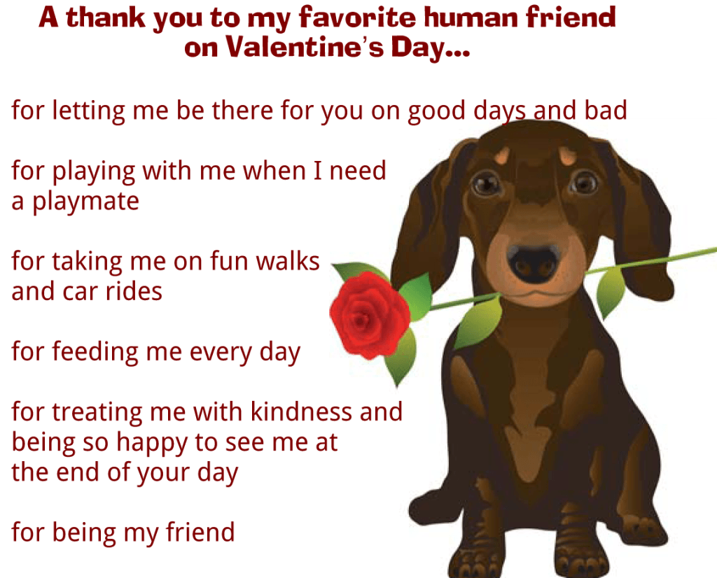 Valentine's Day message from dog. Valentines day messages, Dog