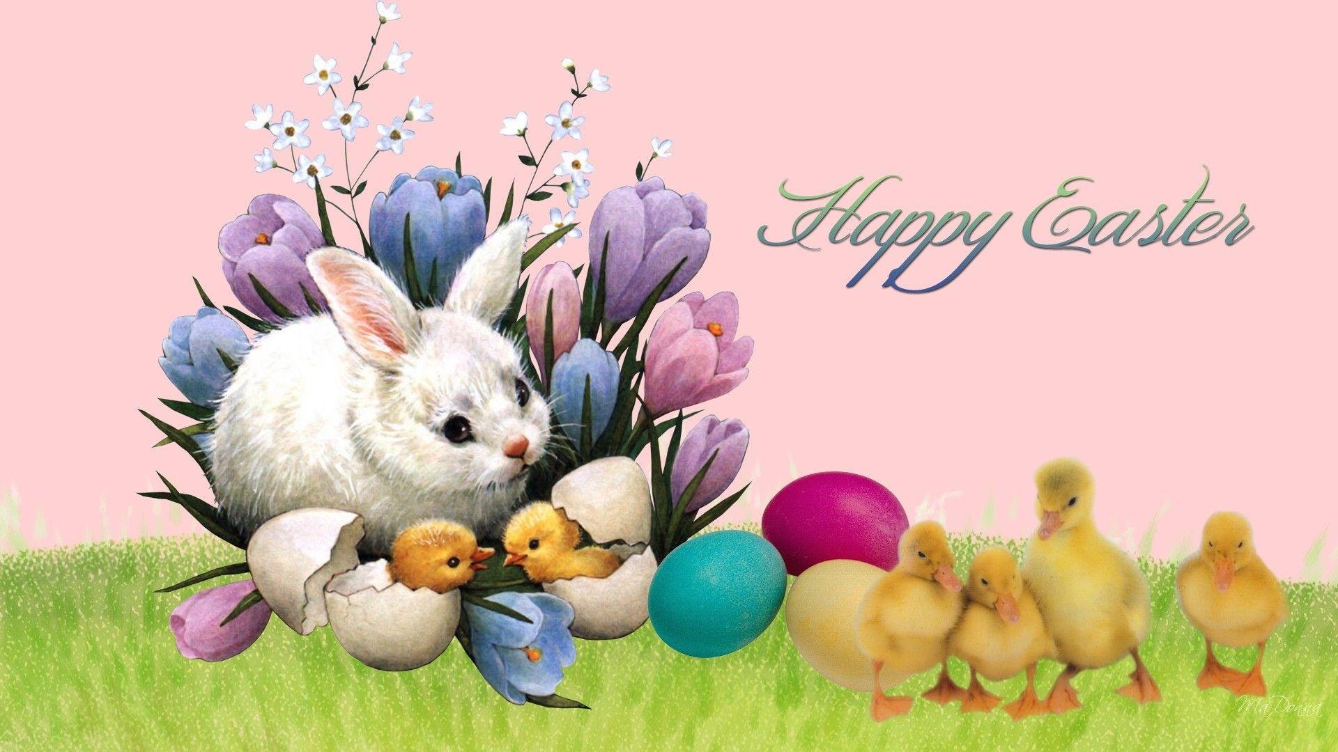 Wallpaper Easter eggs, cute girl, rabbit, Happy Easter 2560x1600