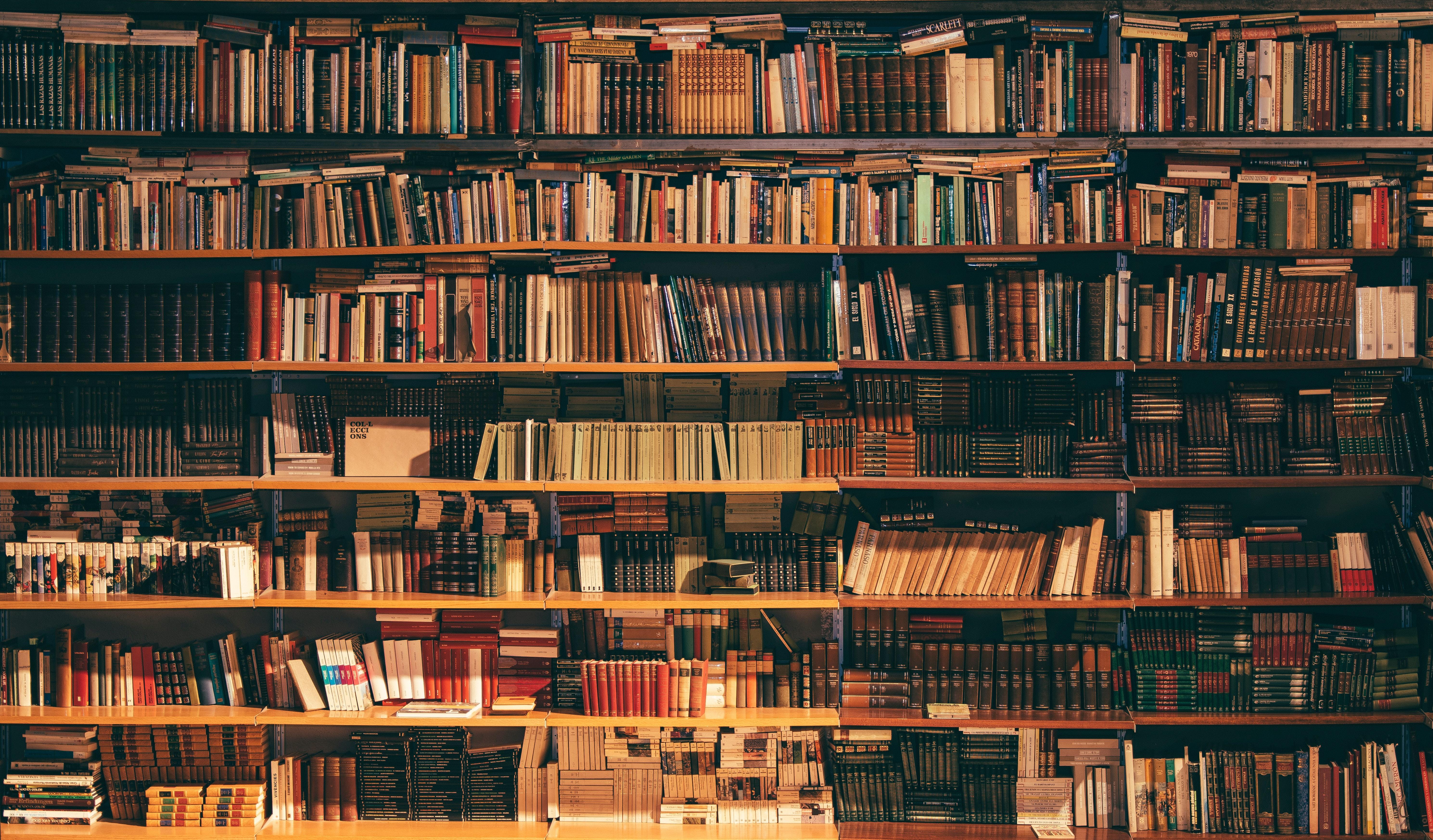 Bookshelf Picture [HD]. Download Free Image
