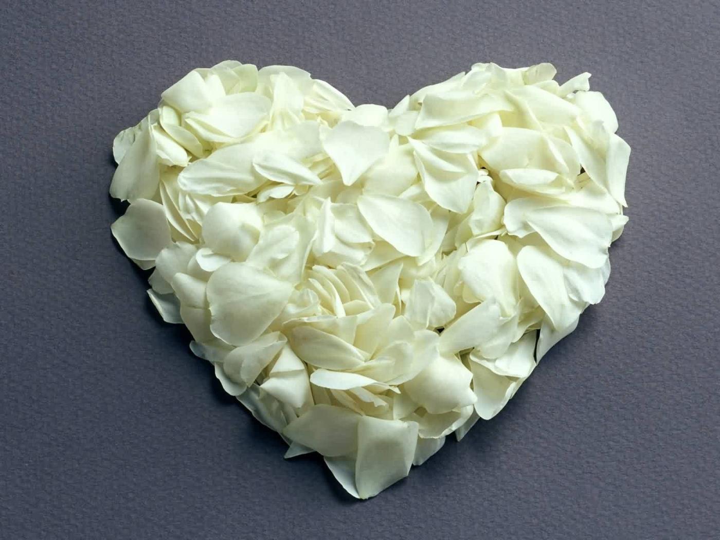 Heart of white petals on Valentine's Day February 14 Desktop