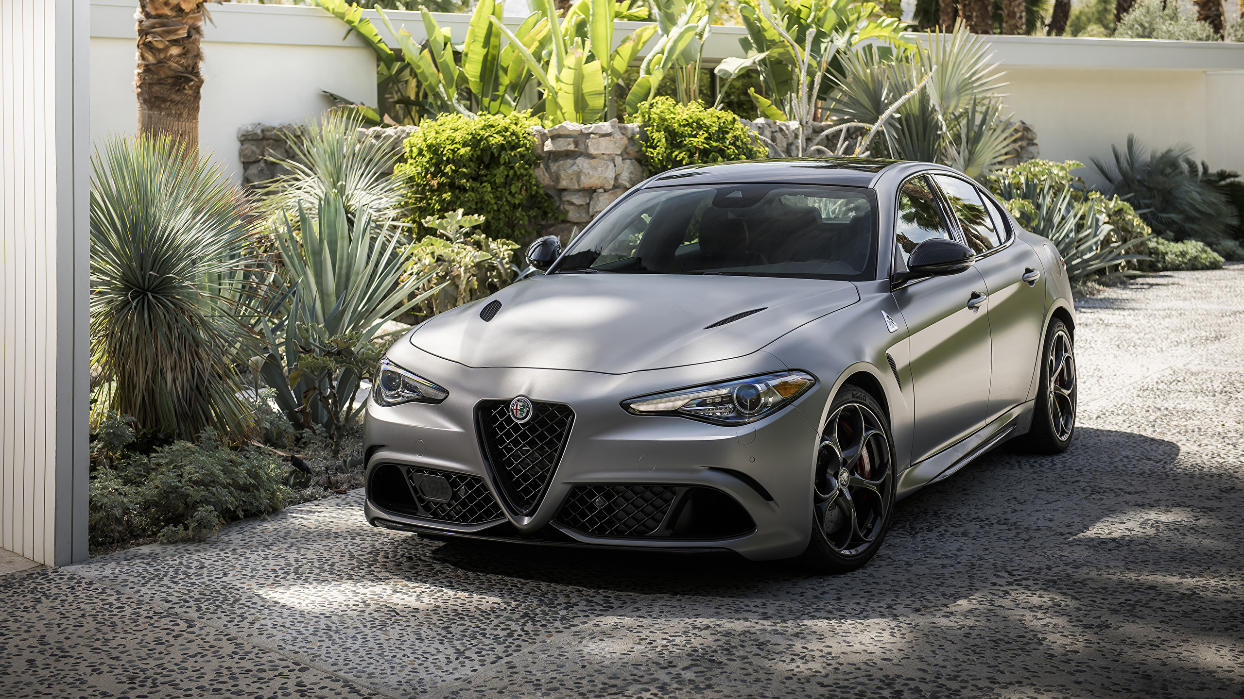 Top New 66 Alfa Romeo Giulia Gt Wallpaper Free Hd Dow - vrogue.co