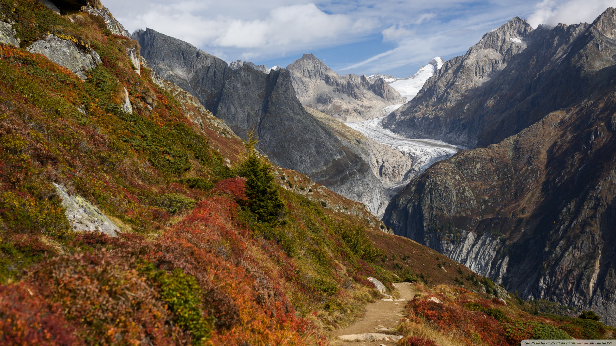Swiss Alps Mountain range, Switzerland, Glacier Ultra HD Desktop