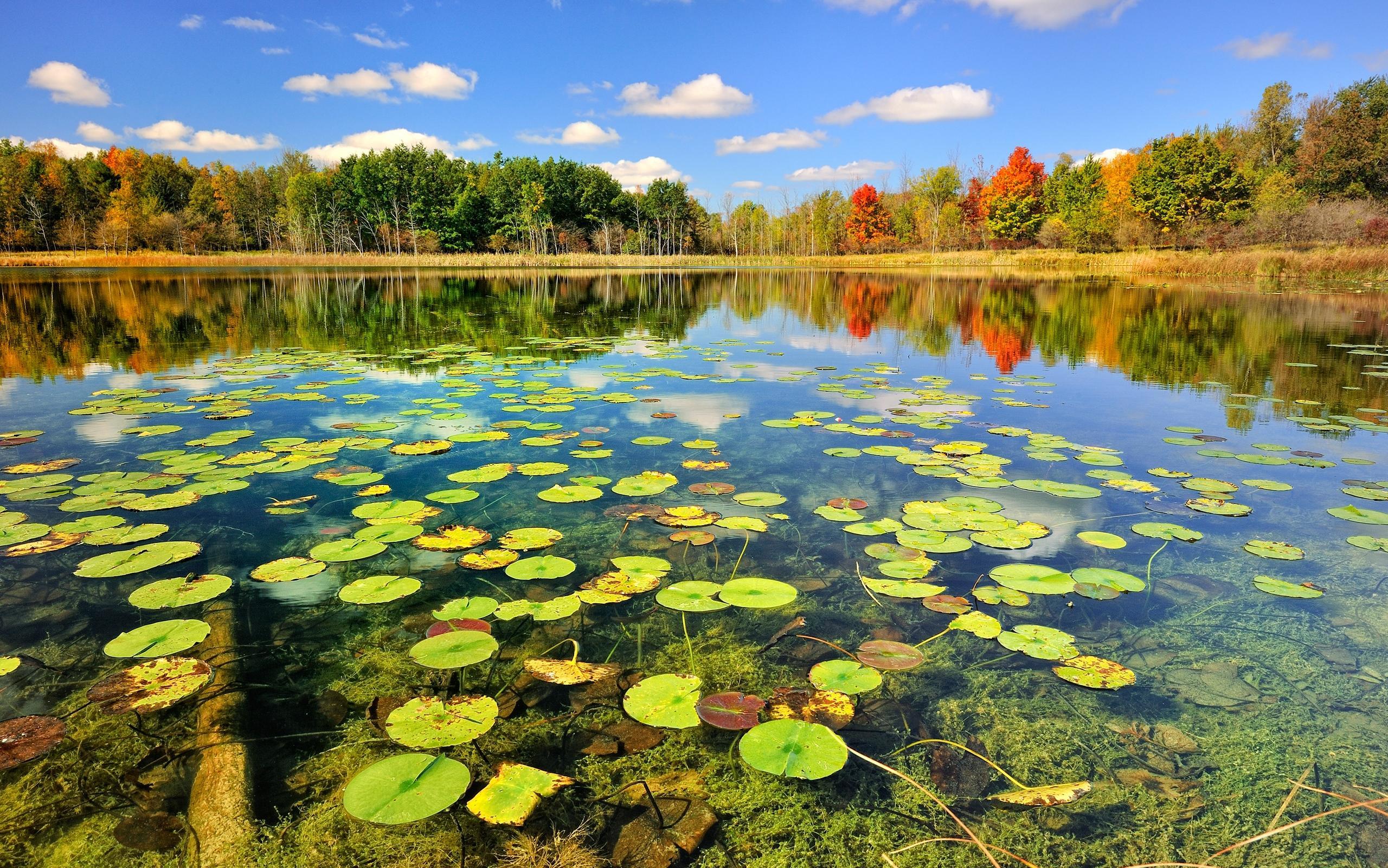 Beautiful Lake Scenery, Autumn Hd Desktop Wallpapers