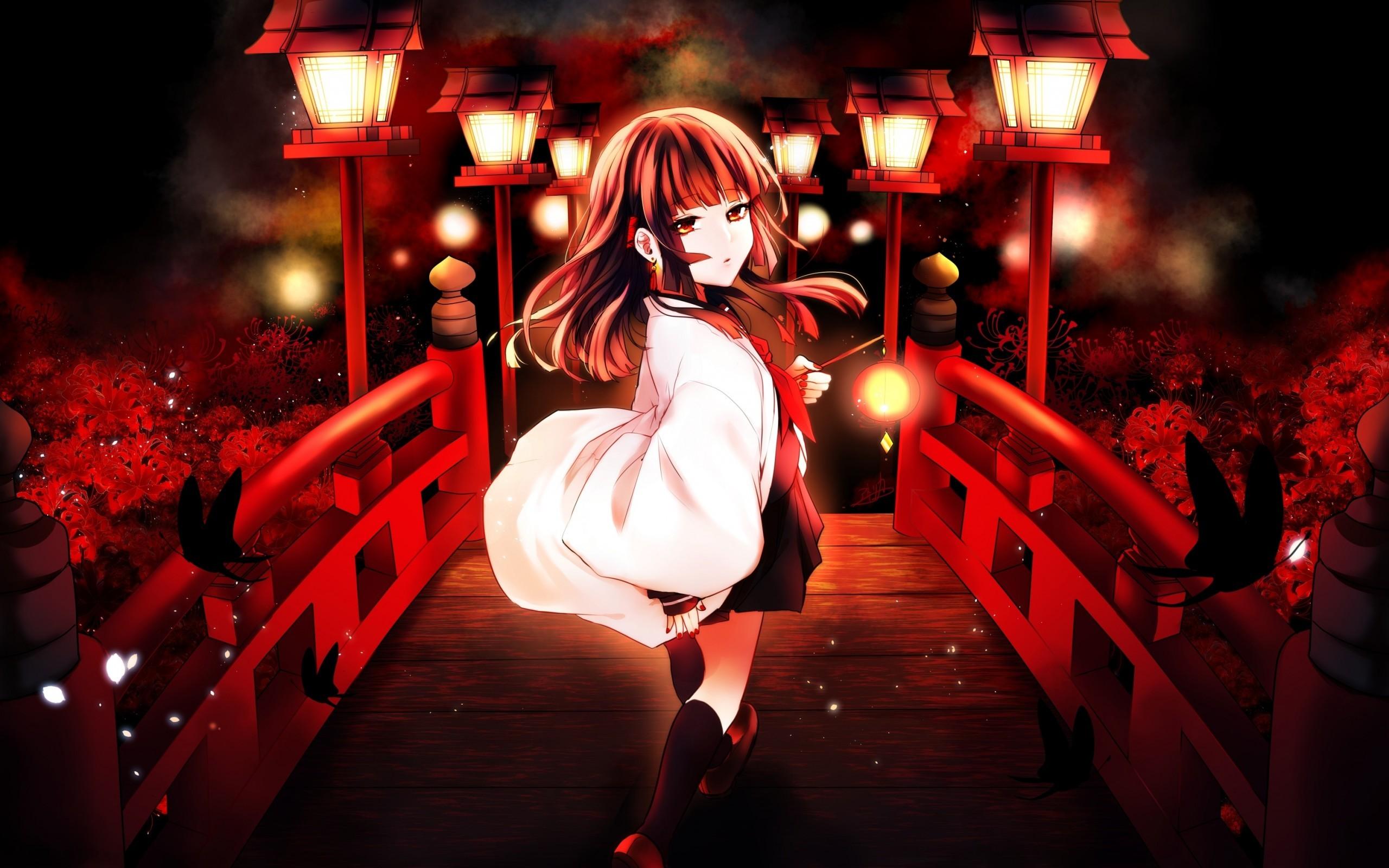 Download 2560x1600 Anime Girl, Bridge, Butterflies, Brown Hair