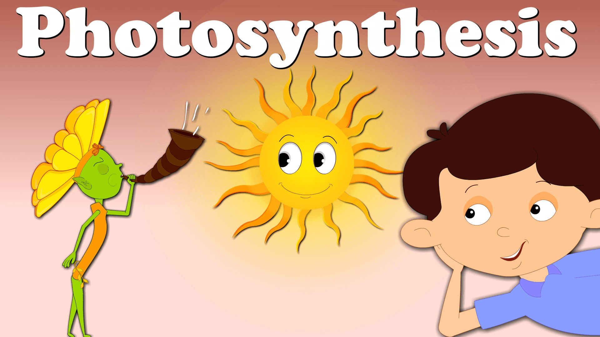 Photosynthesis Is A Process In Which Sunlight Energy