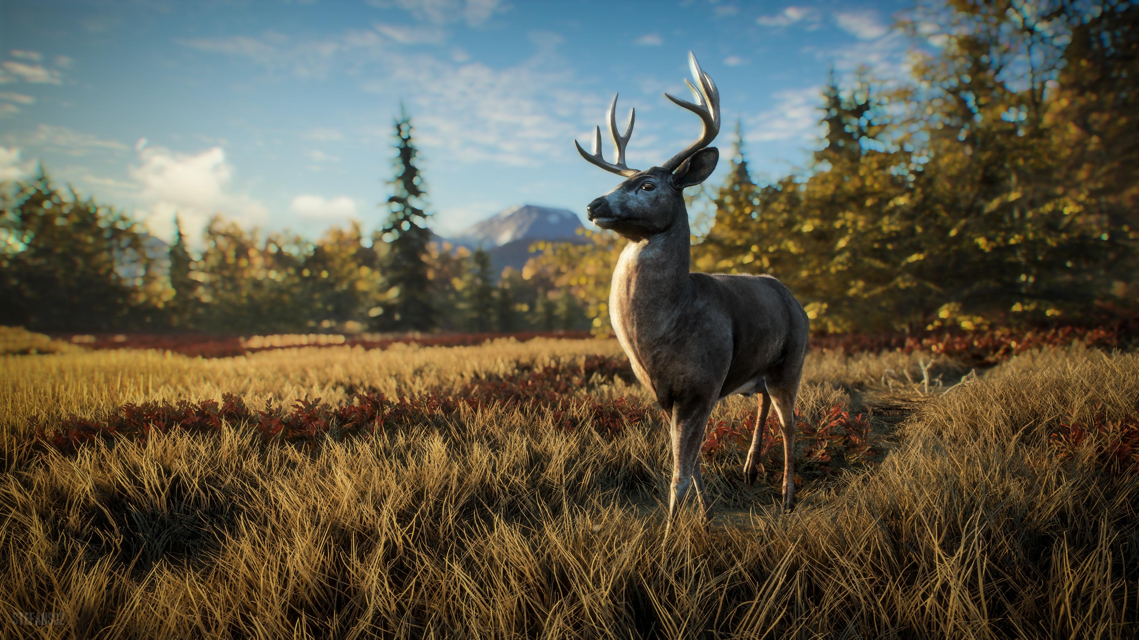 TheHunter: Call of the Wild / David the Deer is Curious 4k Ultra