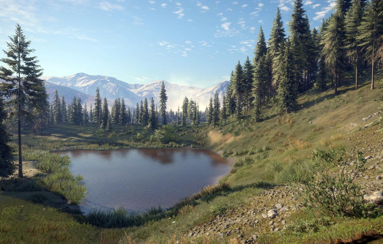 Wallpaper game, Expansive Worlds, thehunter call of the wild image for desktop, section рендеринг