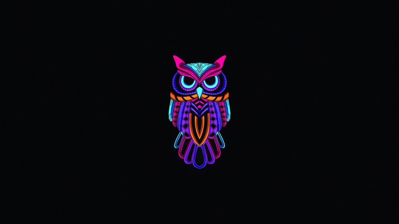 Owl Minimal Dark 4k 1366x768 Resolution HD 4k Wallpaper