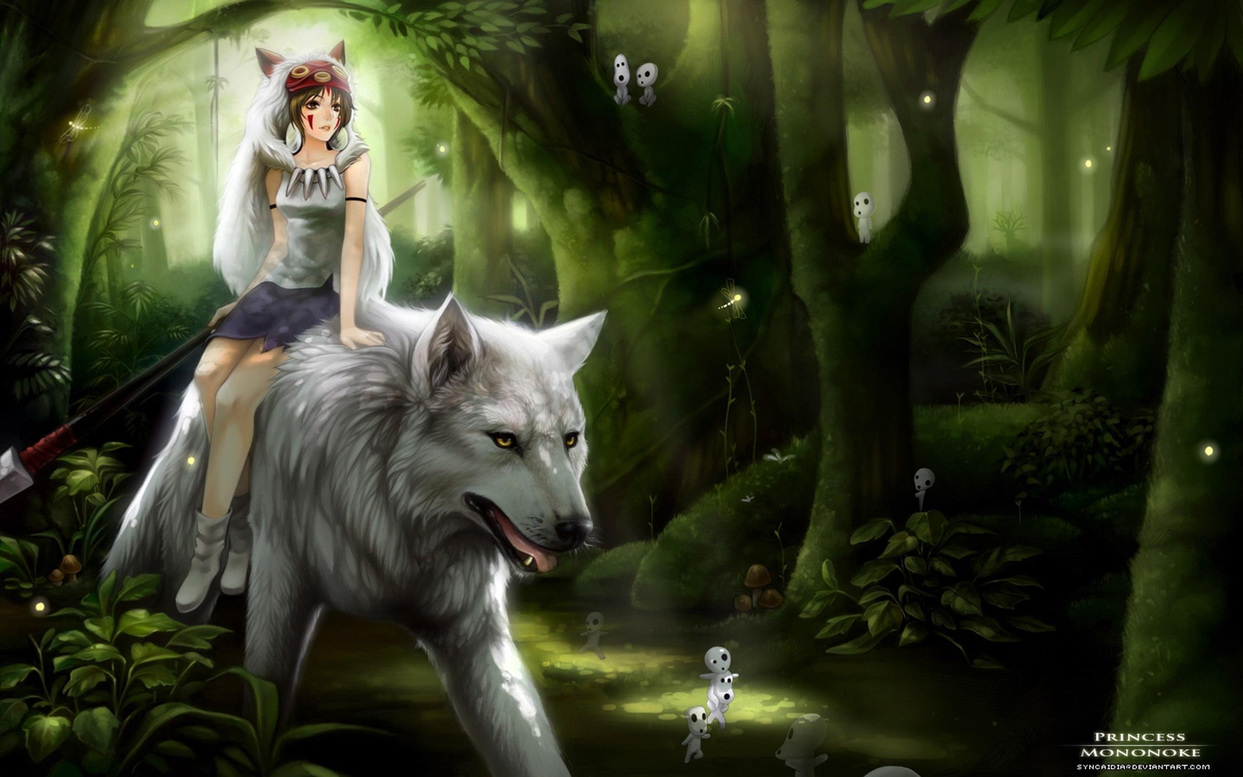 Woman riding white wolf illustration HD wallpaper