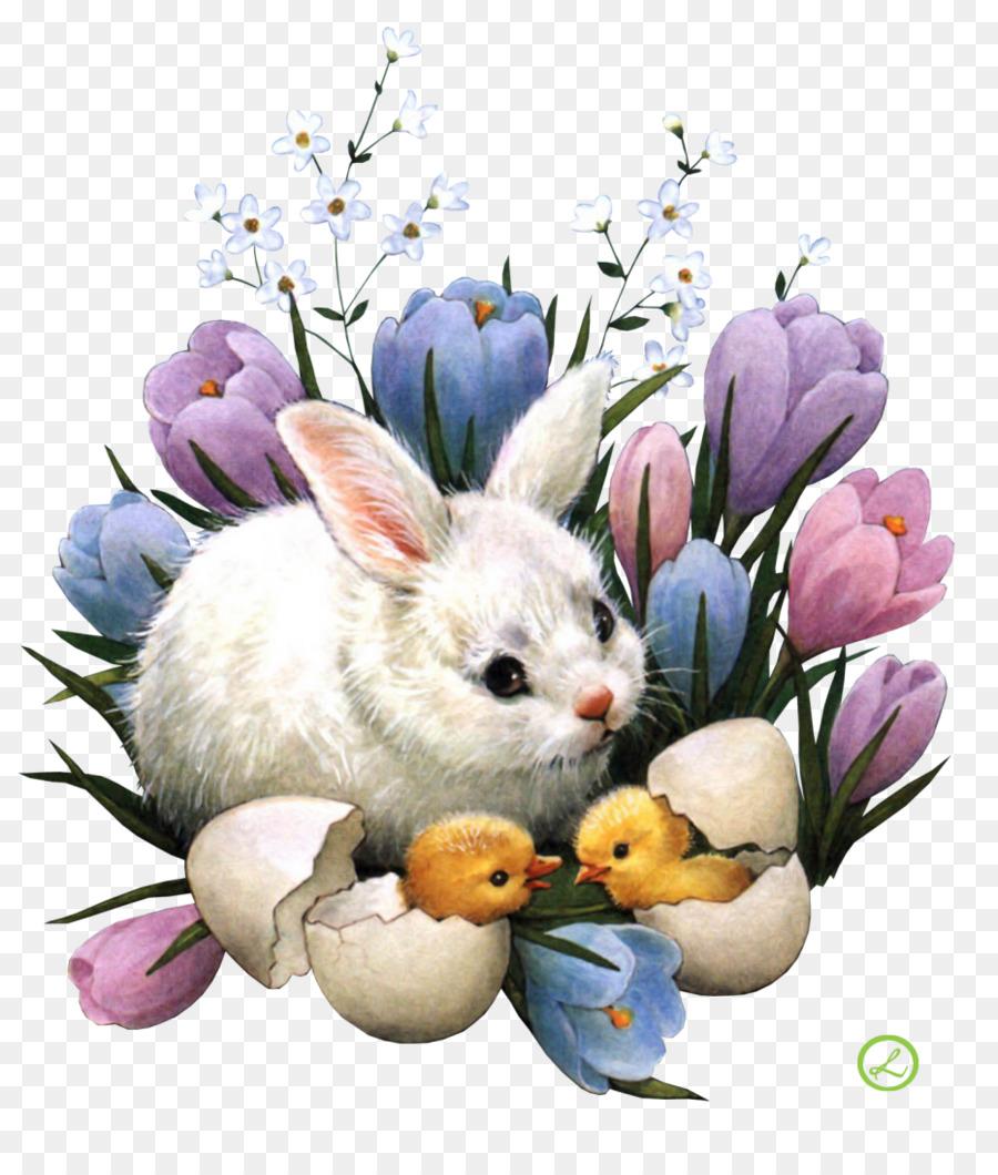 Easter Bunny Desktop Wallpaper Easter egg Egg hunt