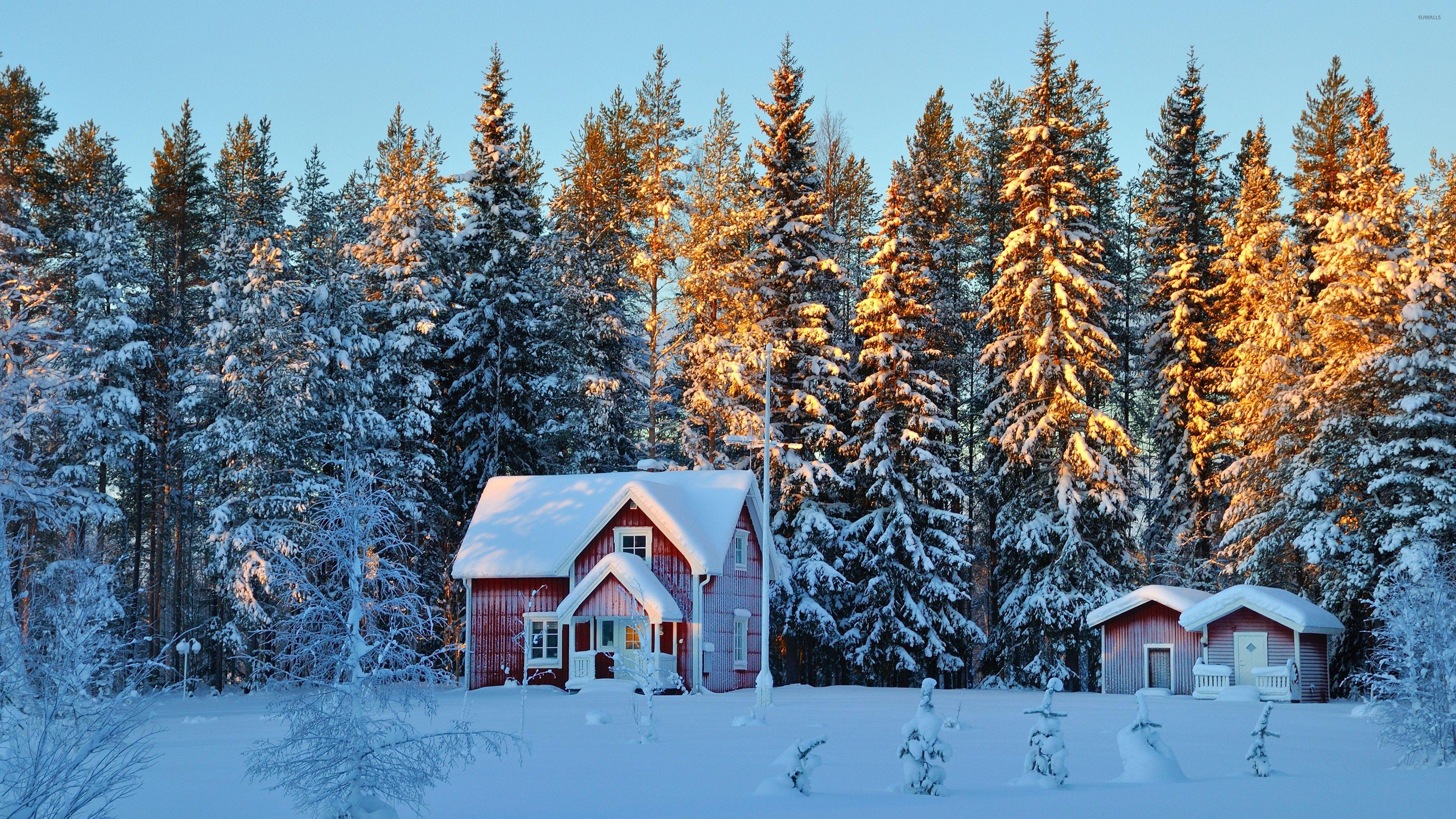 Small houses in the snowy forest wallpaper wallpaper