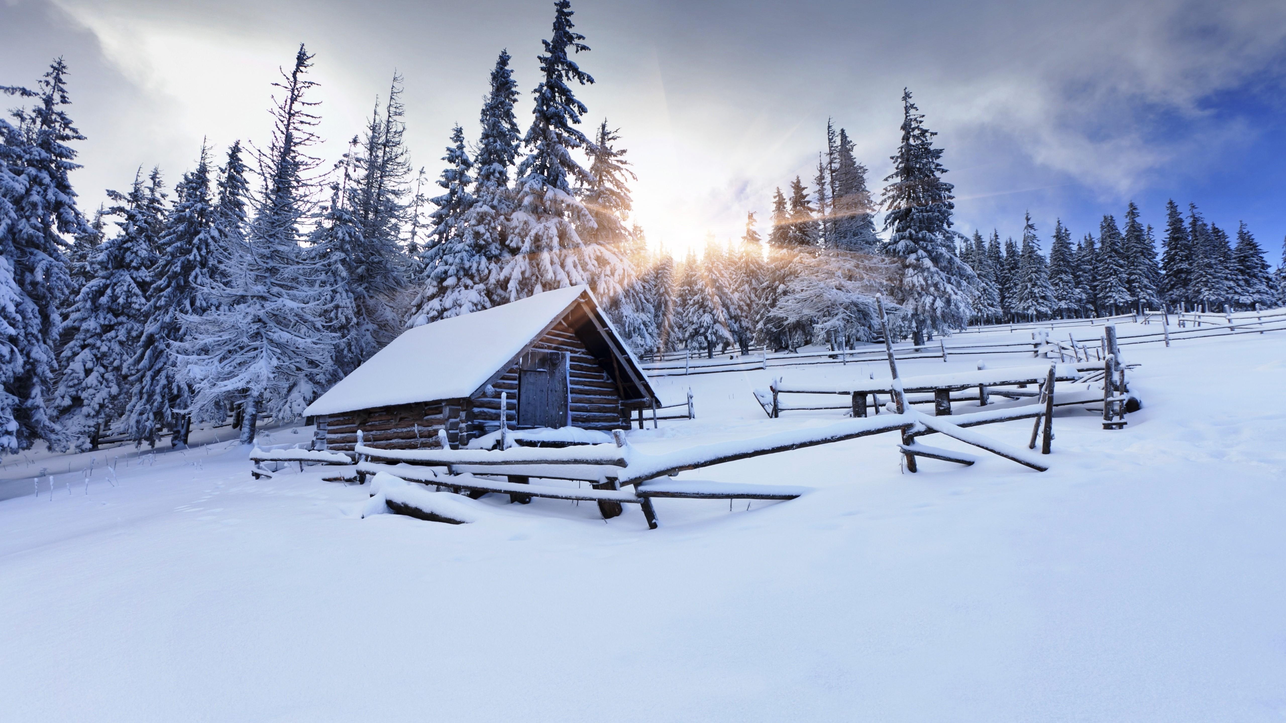Wallpaper Winter Forest, 5k, 4k Wallpaper, 8k, Mountain, Sun, Snow, Fir Trees, Village, House, , Nature