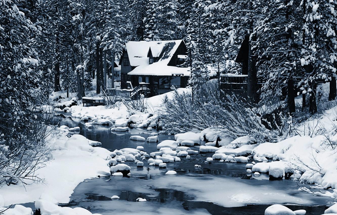 Wallpaper winter, forest, house, river image for desktop, section