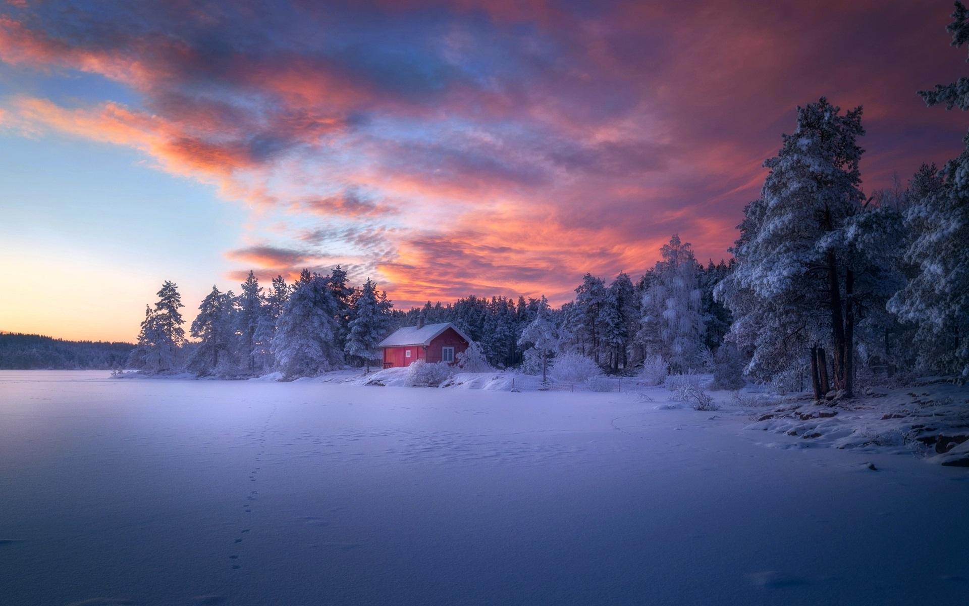 Wallpaper Winter, forest, house, snow, clouds, dusk 1920x1200 HD