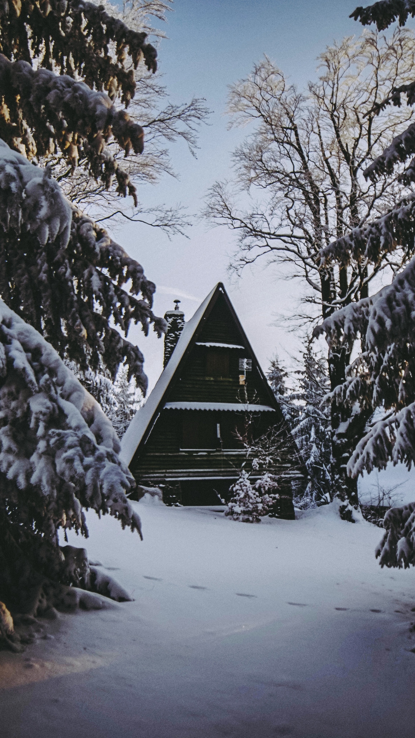 Download wallpaper 1440x2560 house, winter, snow, forest, comfort