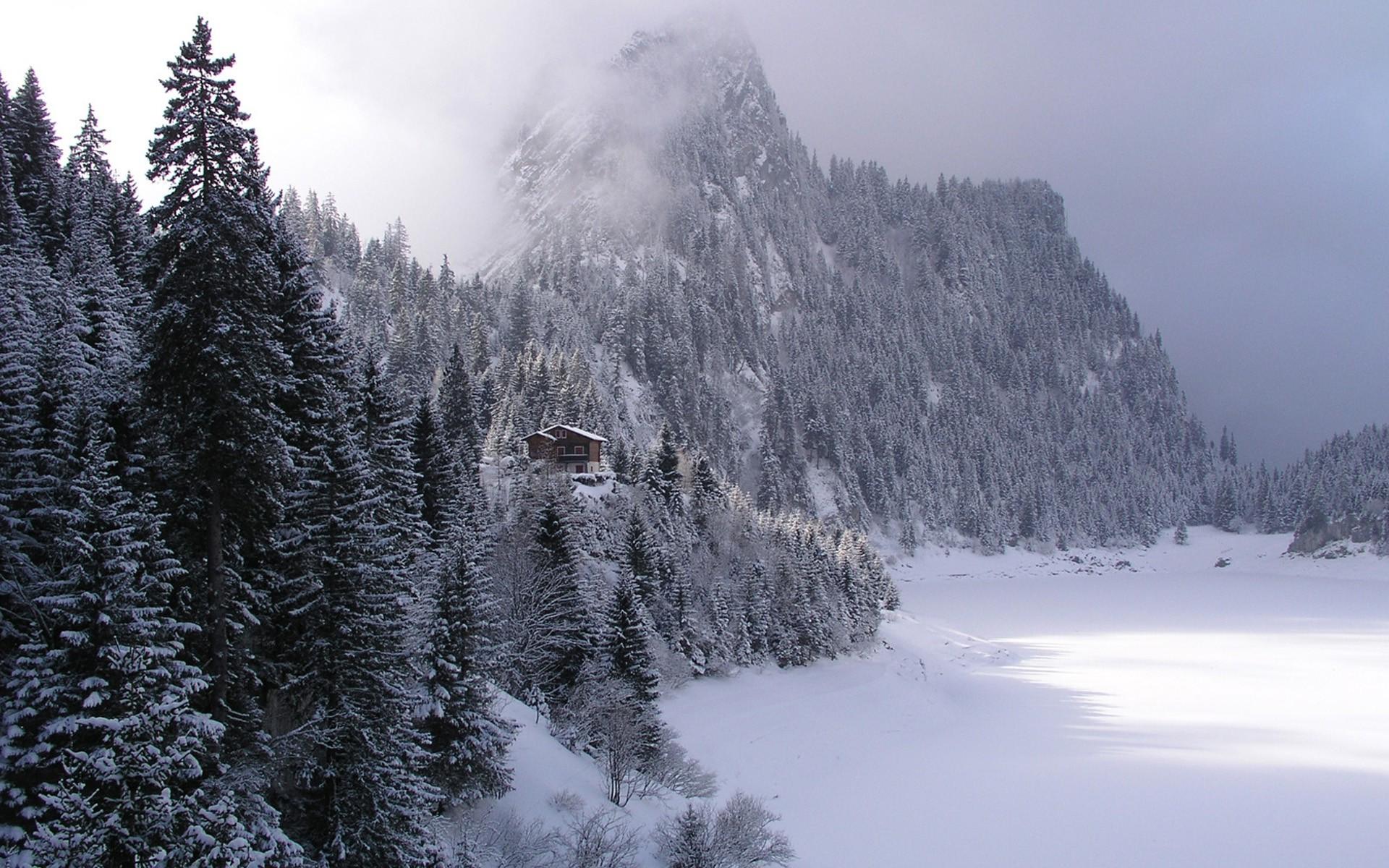 Winter, forest, mountain, house, snow