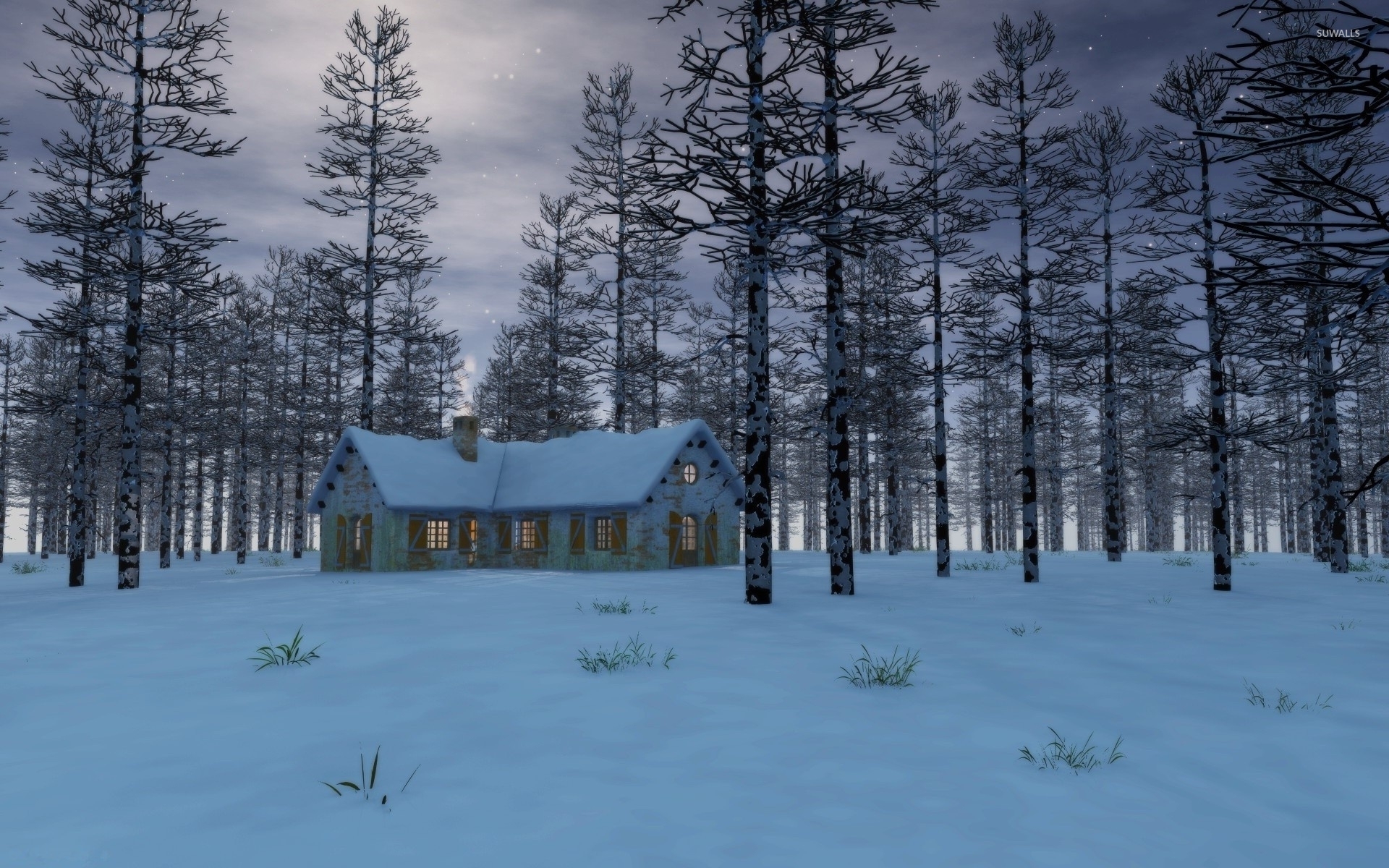 Snow on the house in the forest wallpaper Art wallpaper