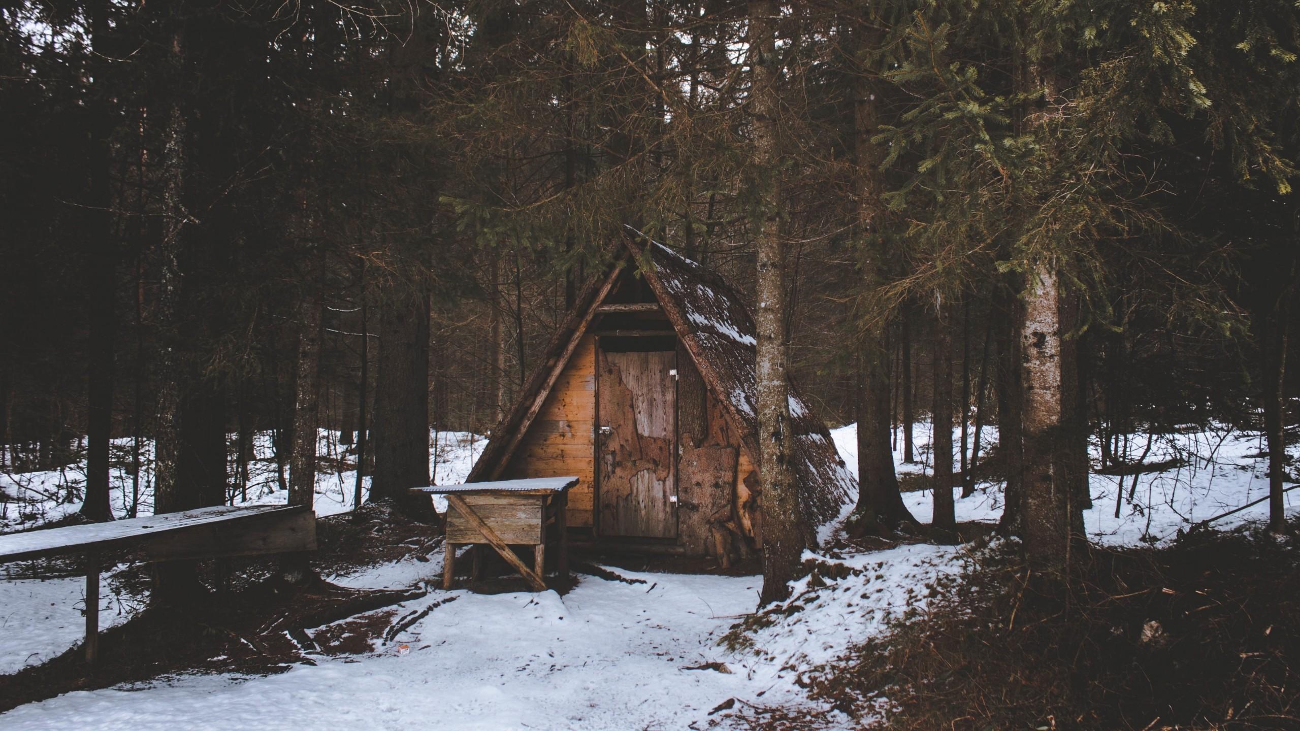 Download 2560x1440 House, Snow, Winter, Forest, Trees Wallpaper
