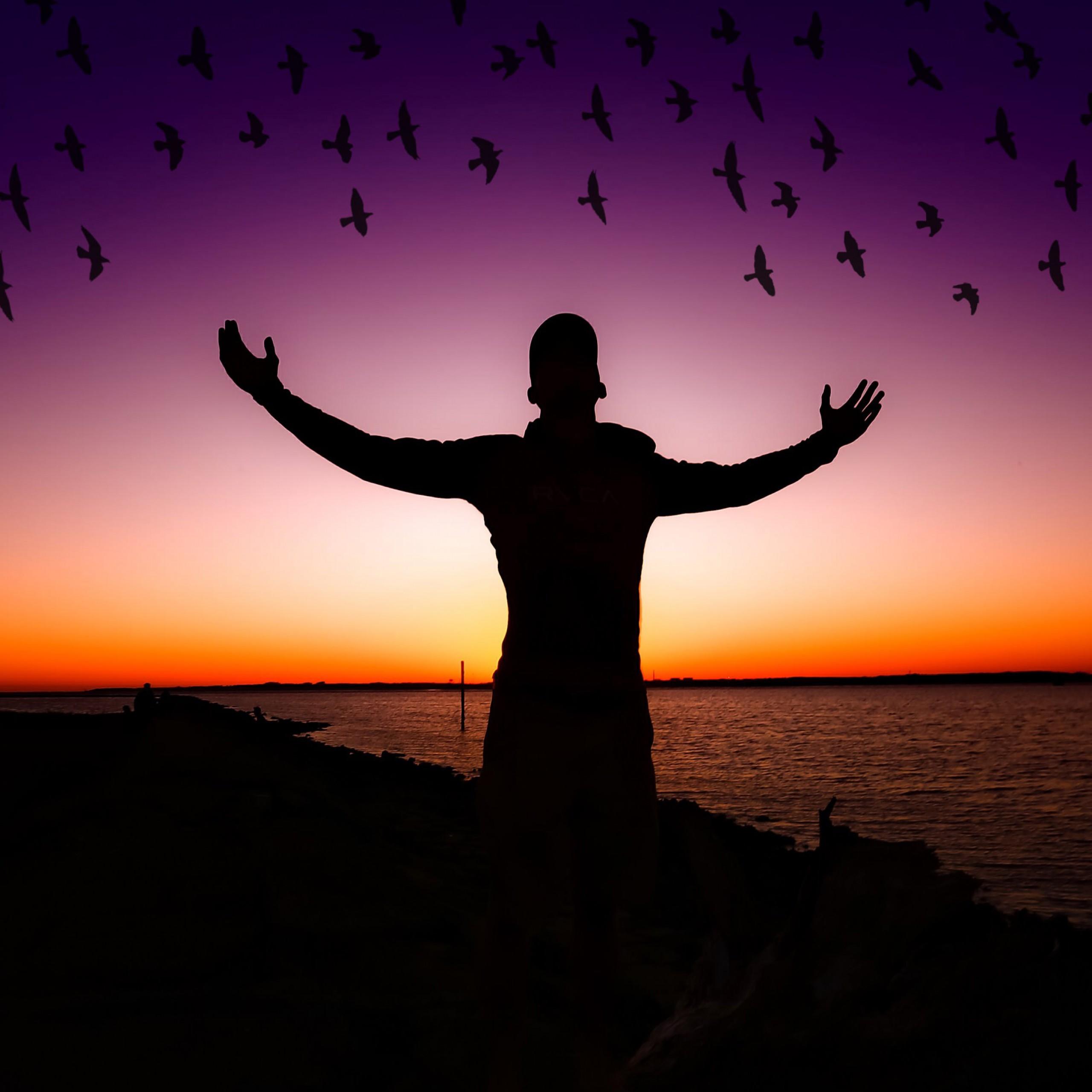 Wallpaper Exciting, Happy mood, Birds, Sunset, Silhouette