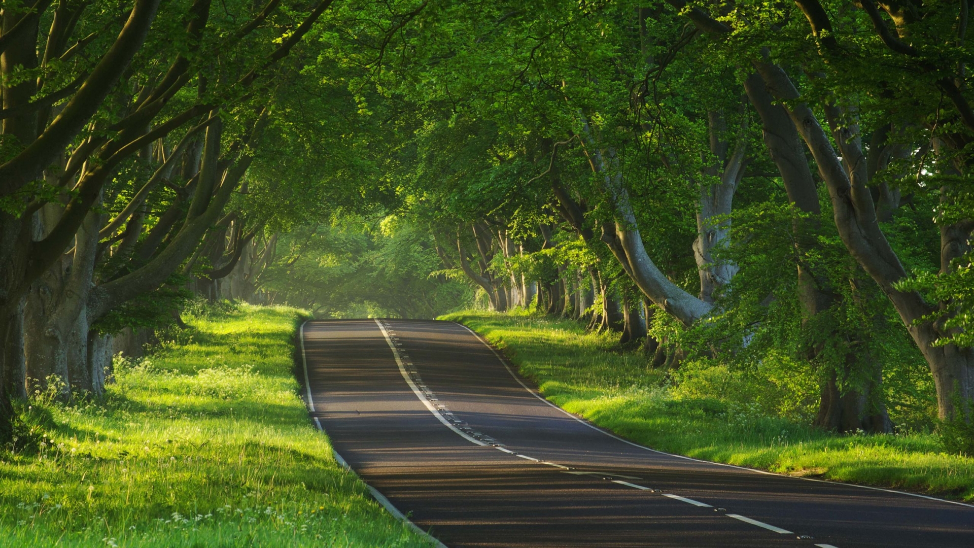 Free download image of a beautiful empty highway Beautiful Road