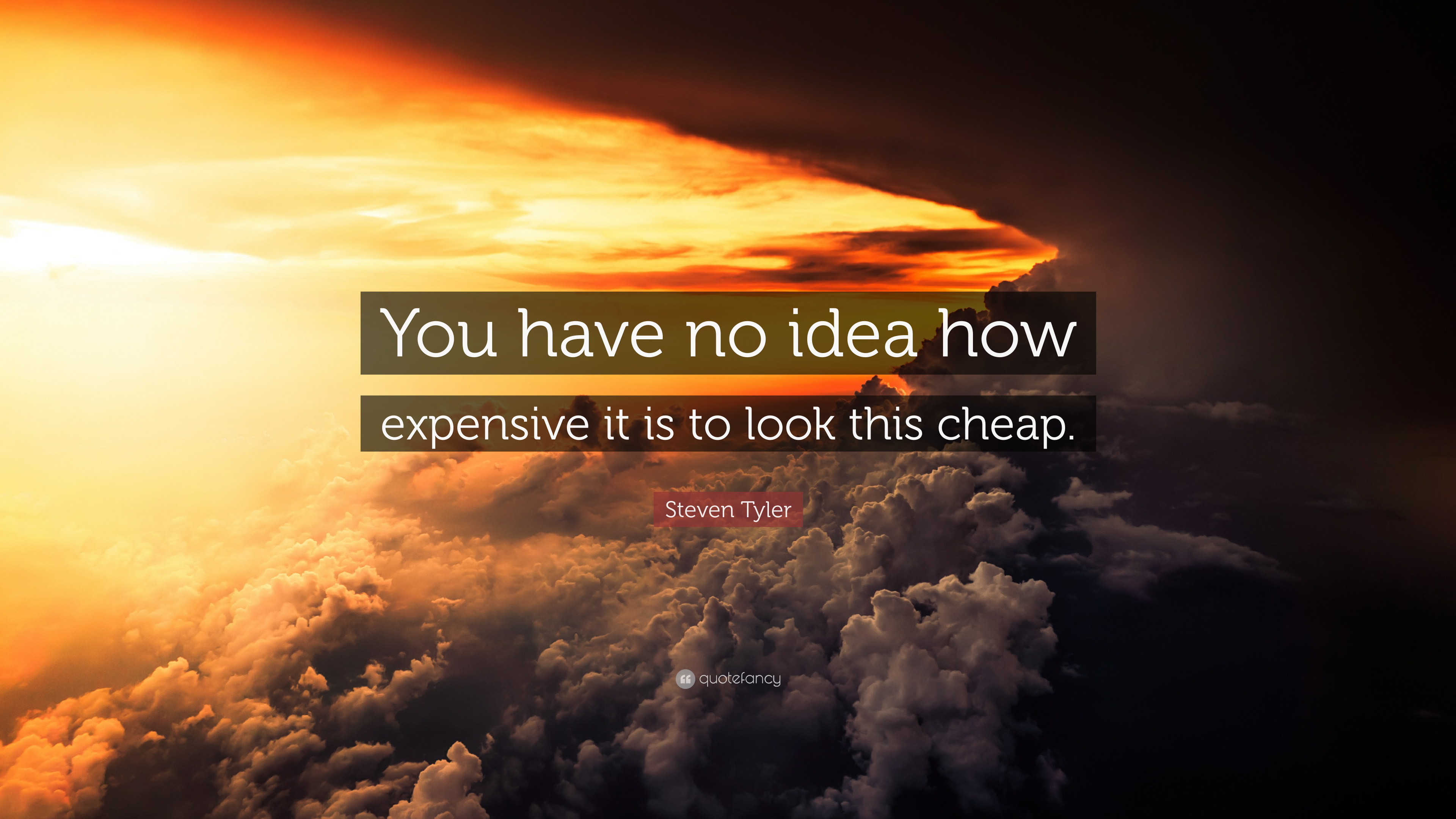 Steven Tyler Quote: “You have no idea how expensive it is to look