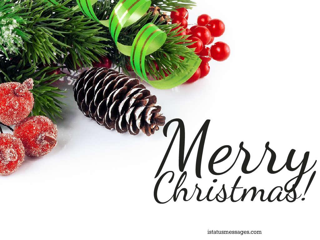Merry Christmas Picture Wallpaper Christmas Pine