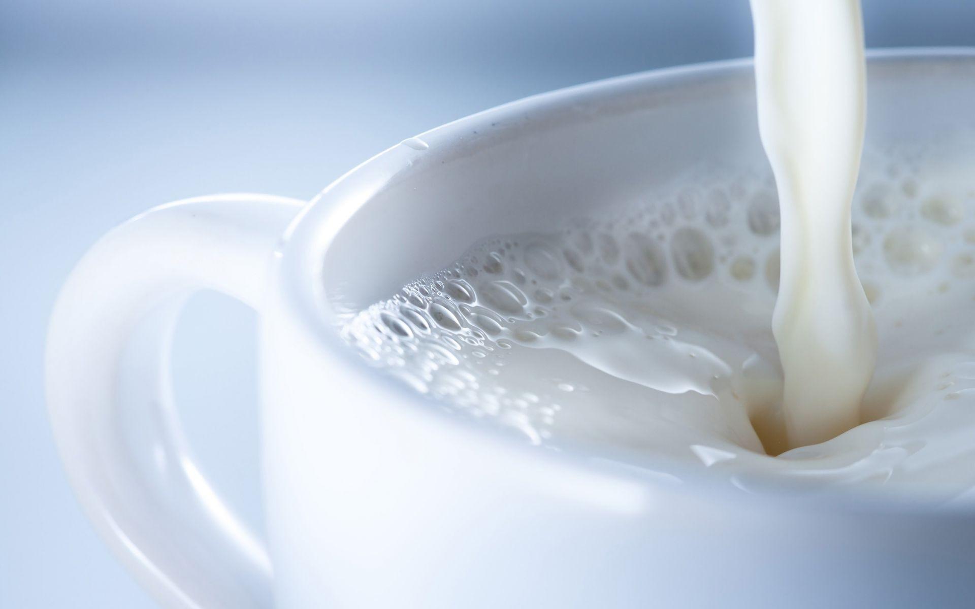 Cup Milk milk