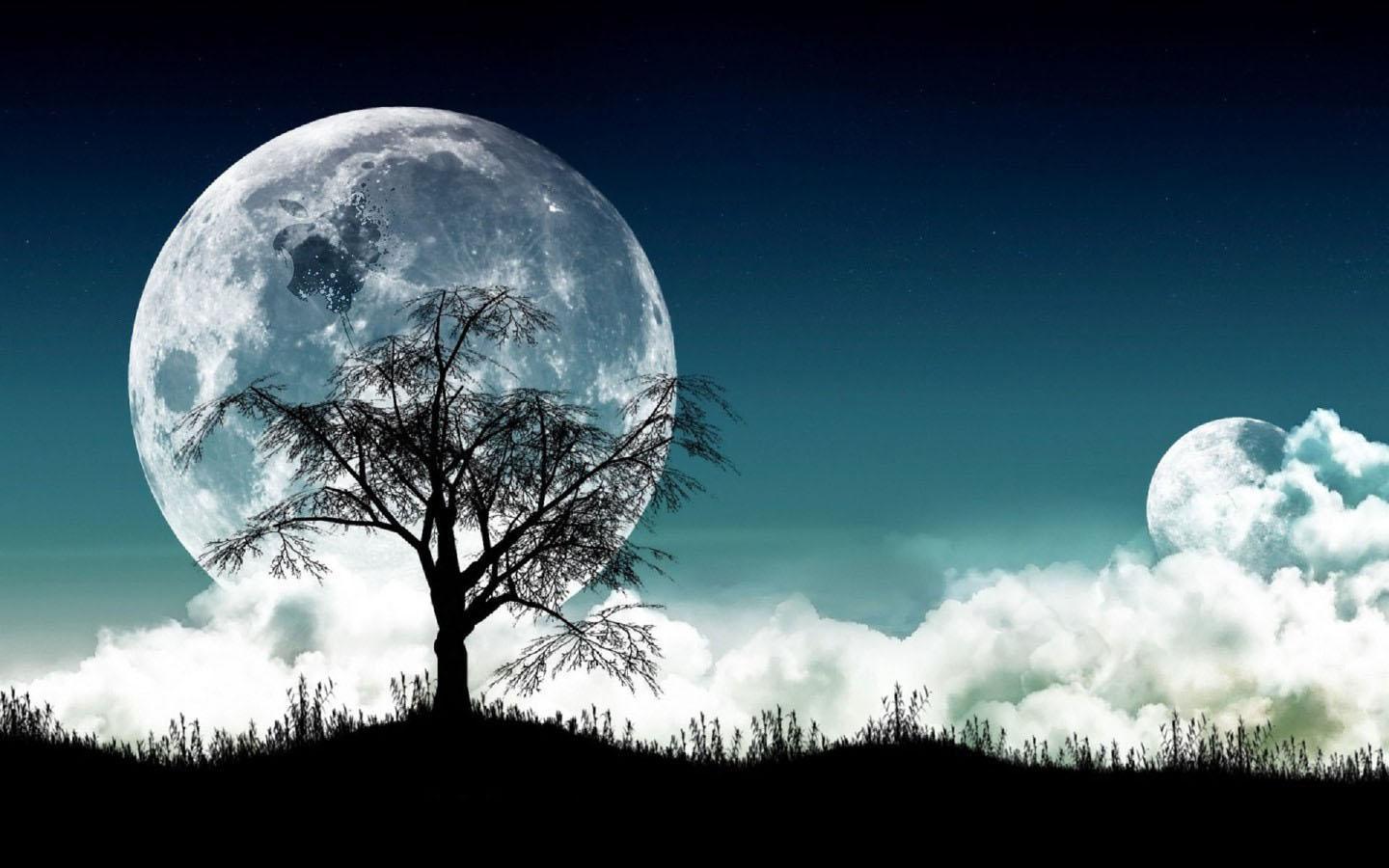 Free Moonlight Nature Wallpaper HD Resolution at Landscape Monodomo