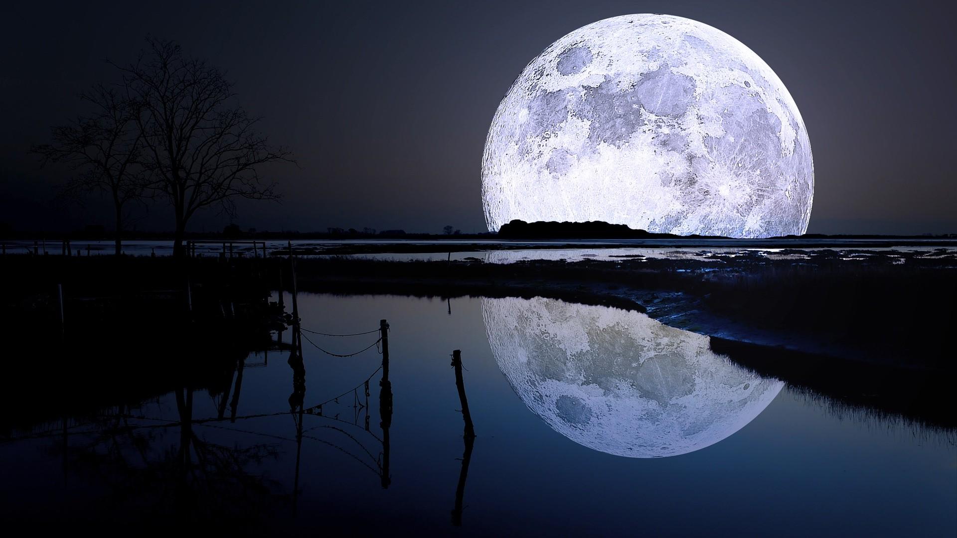 Free Moonlight Nature Background at Landscape Monodomo