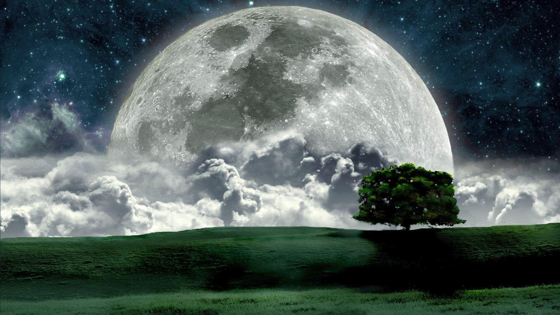 Free Moonlight Nature Wallpaper at Landscape Monodomo