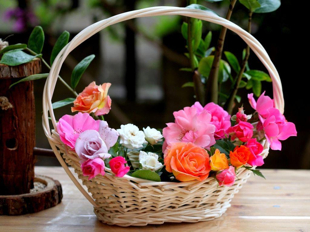 Flowers Basket Wallpapers - Wallpaper Cave