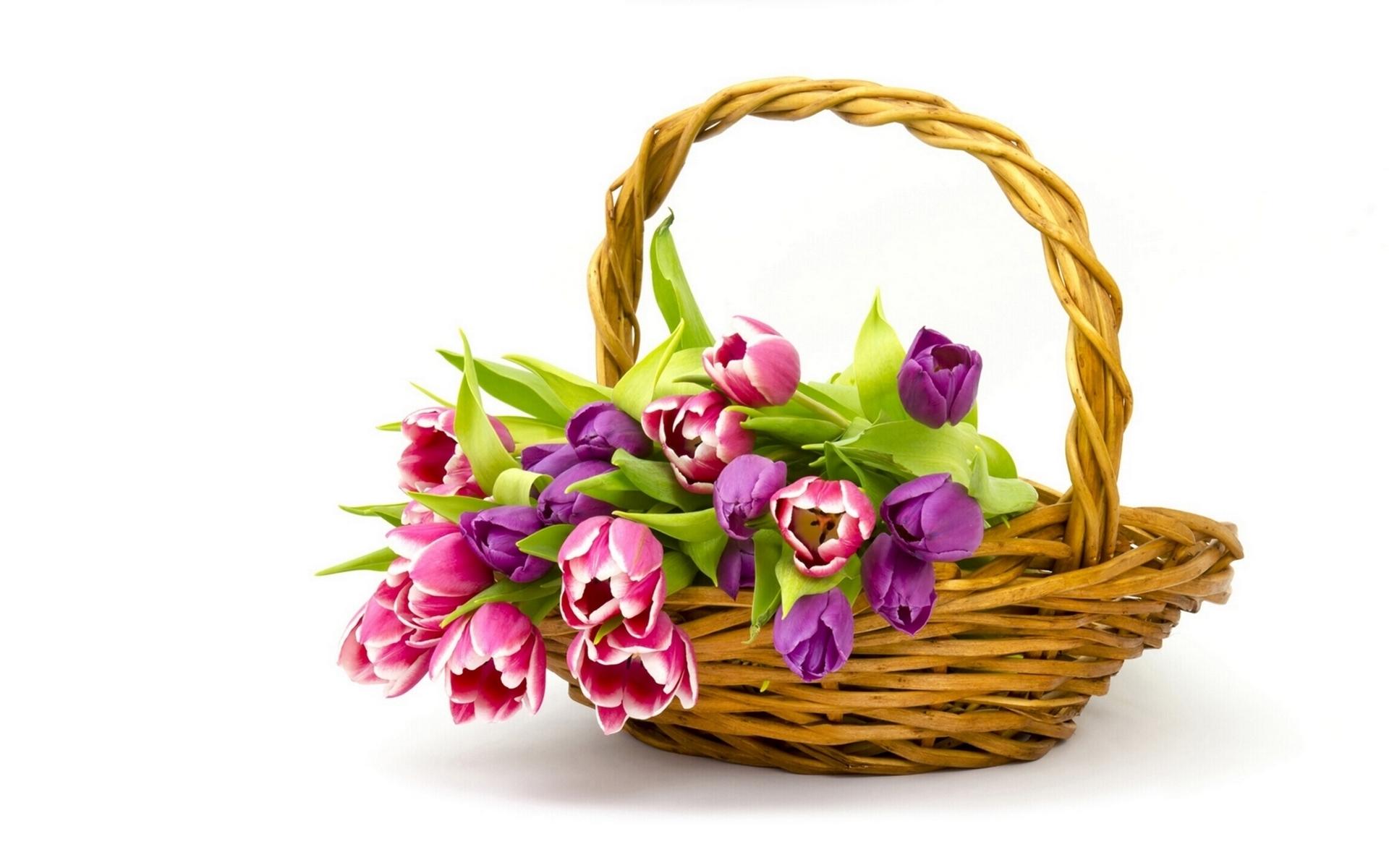HD Flowers Basket Wallpaper