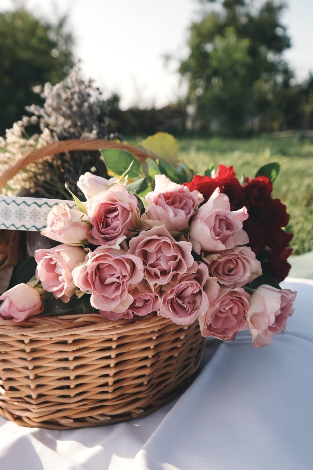 Flower Basket Picture. Download Free Image