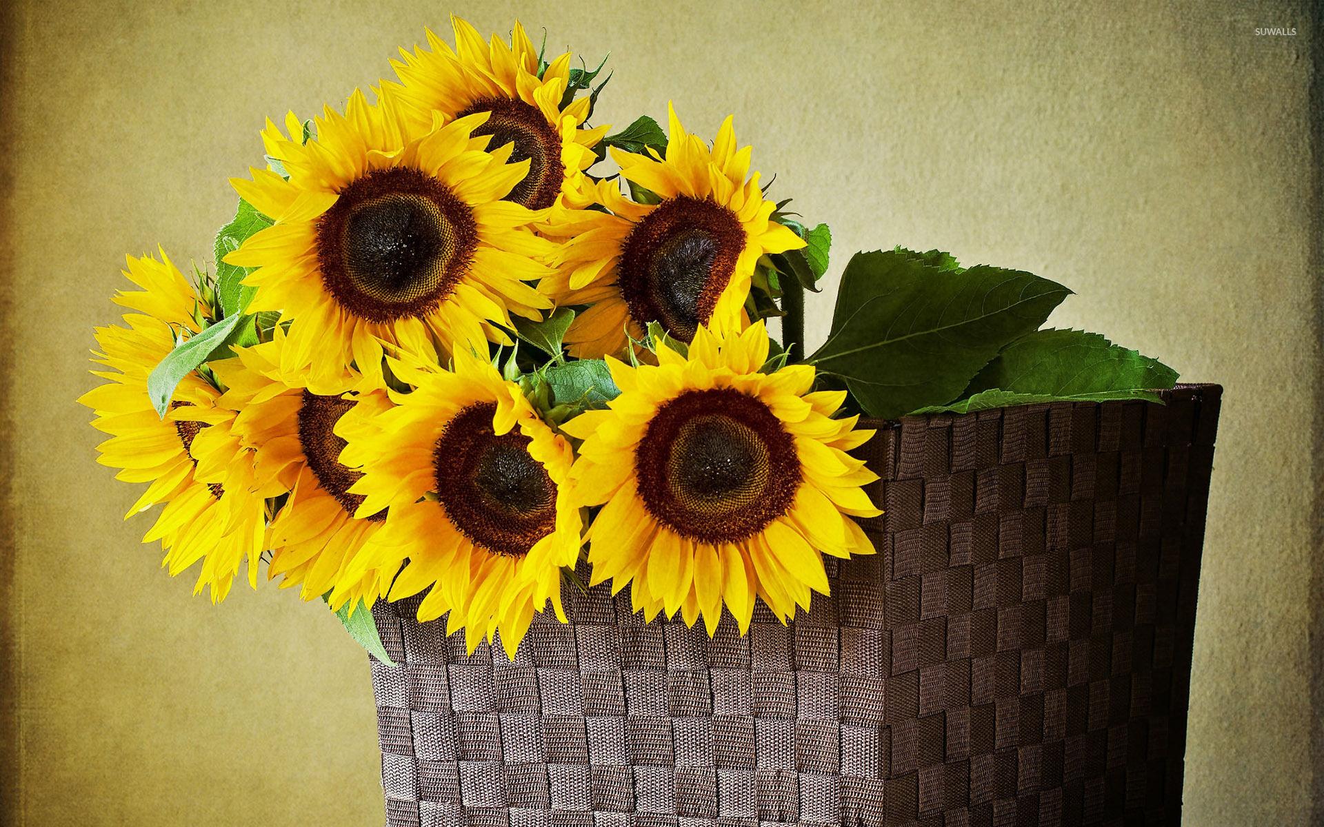 Sunflowers in a basket wallpaper wallpaper
