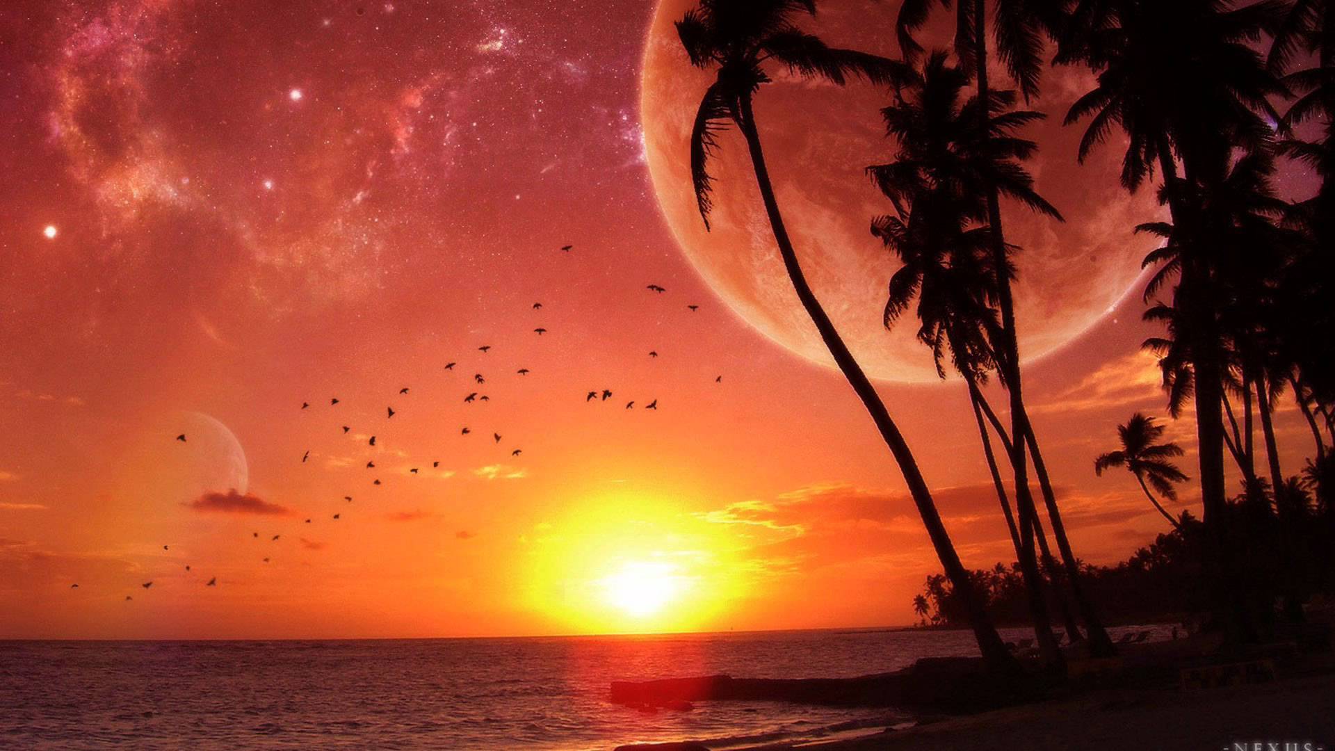 Tropical Sunset Wallpaper For Pc & Mac, Tablet, Laptop