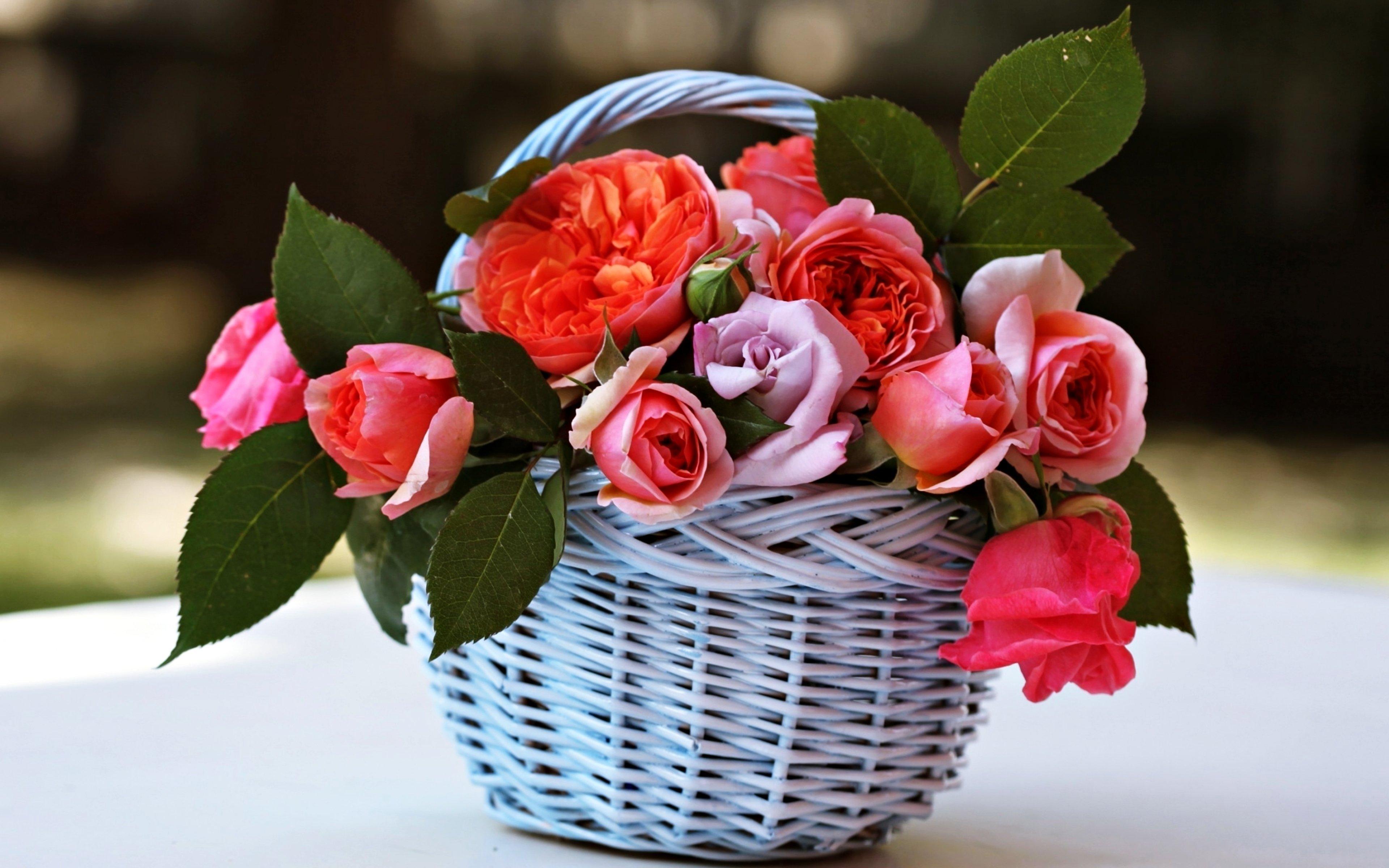 Flowers Basket Wallpapers Wallpaper Cave