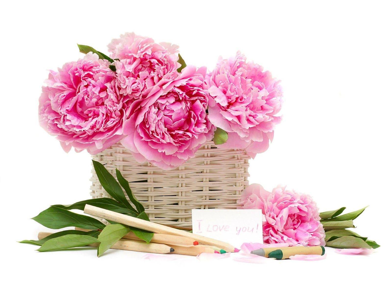 Flowers Basket Wallpaper HD Picture