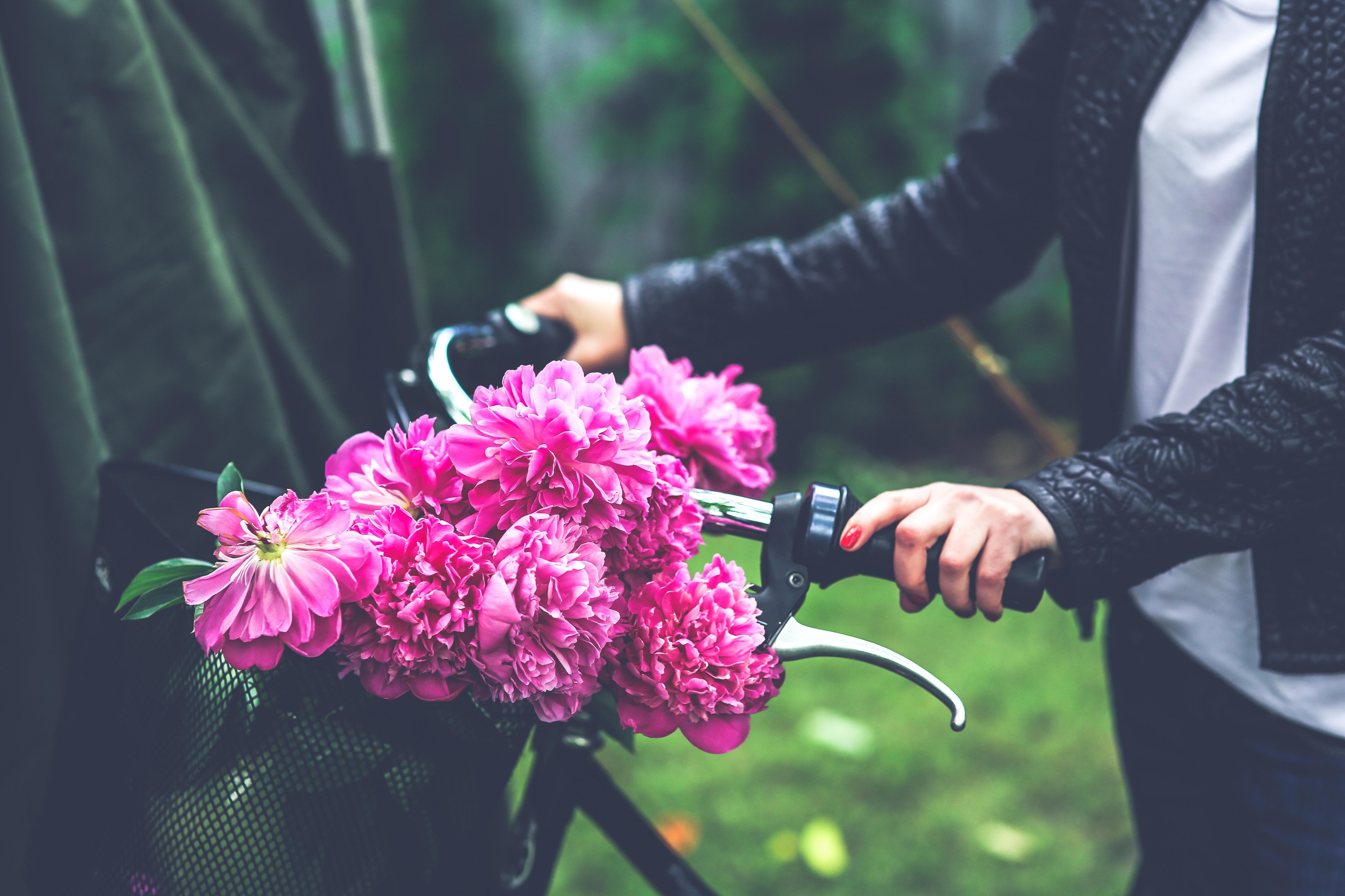 Bike with flower basket · Free