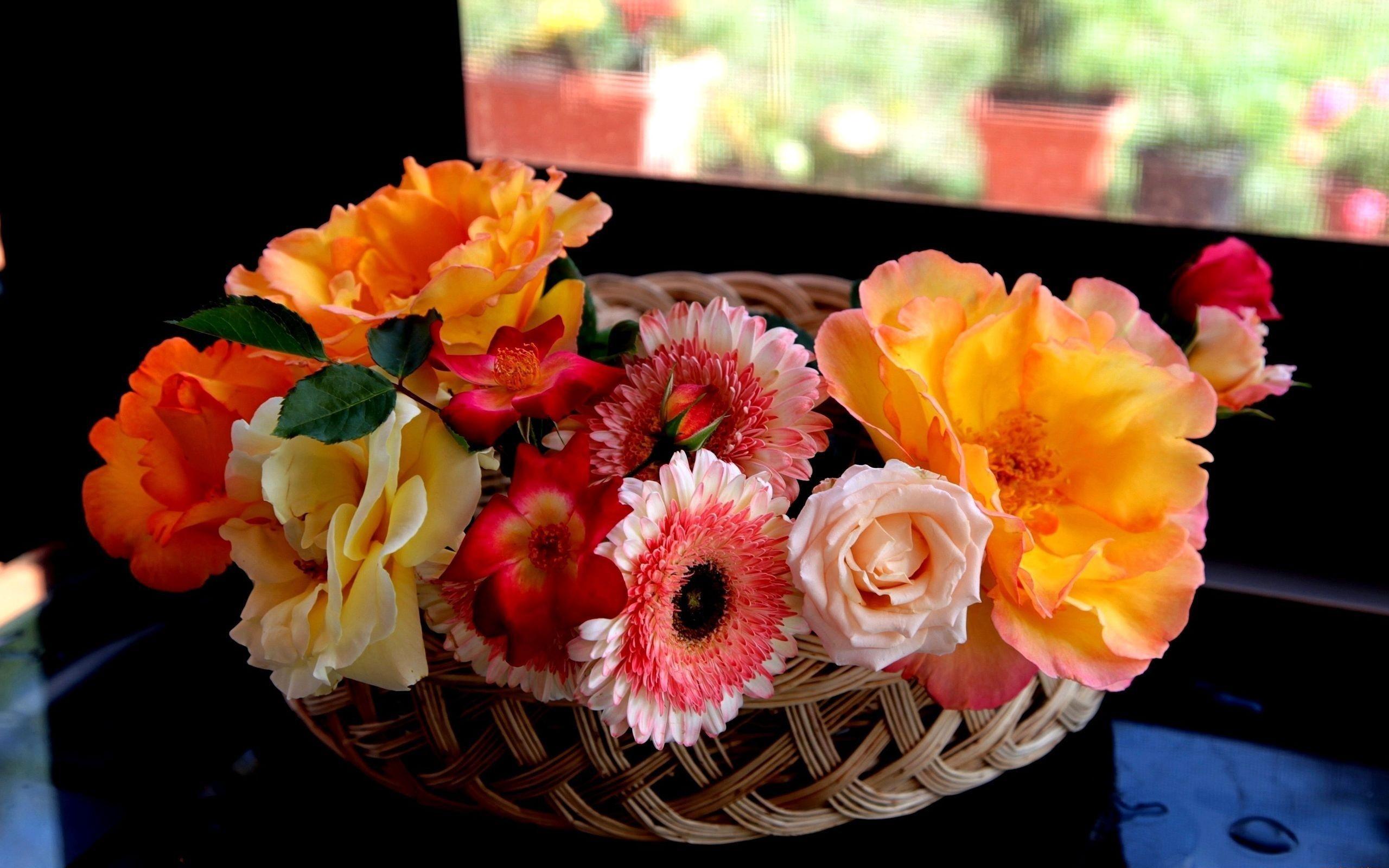 Download wallpaper 2560x1600 flowers, basket, beautiful HD background