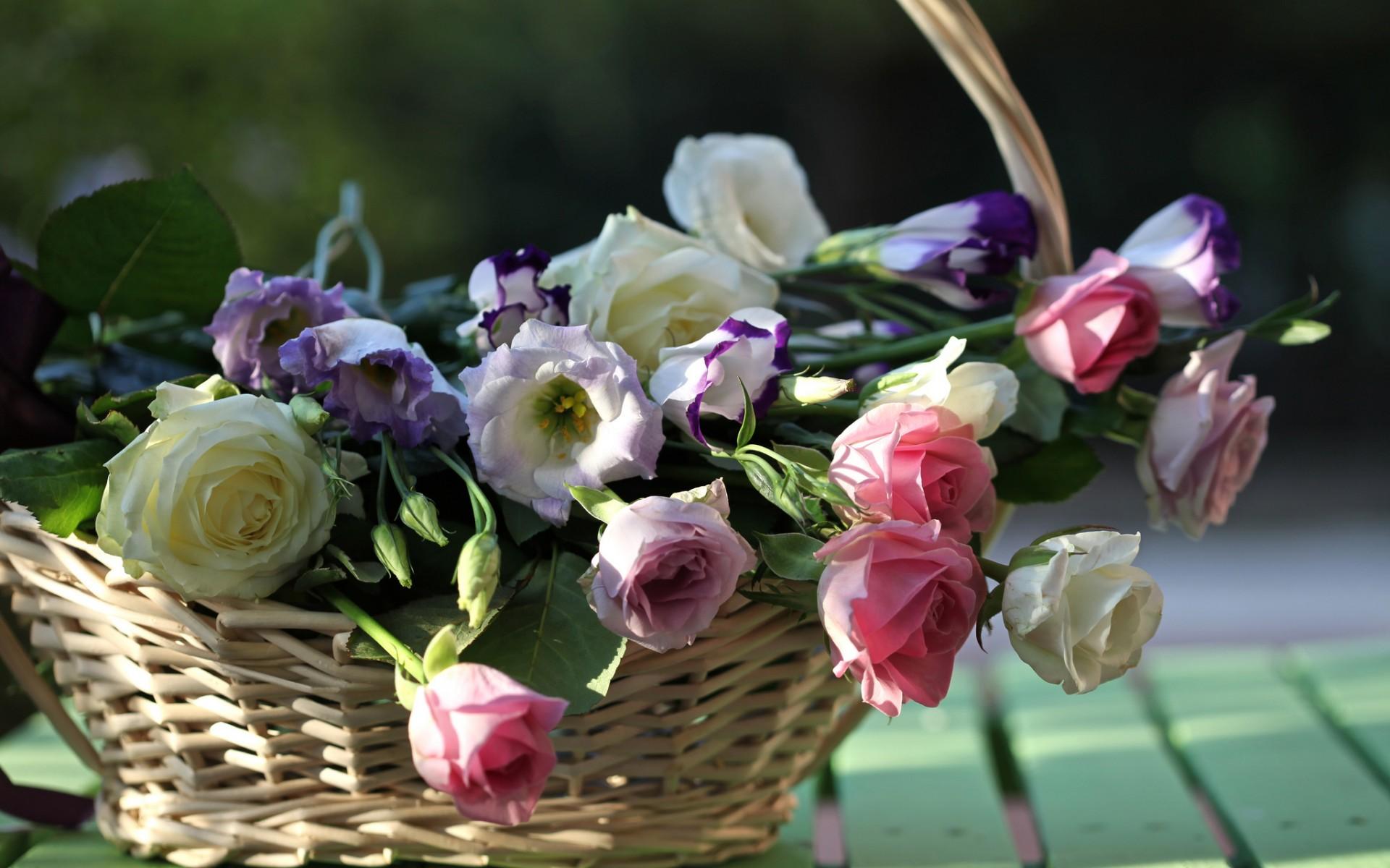 bouquet, Flowers, Basket, Still, Life, Roses Wallpaper HD