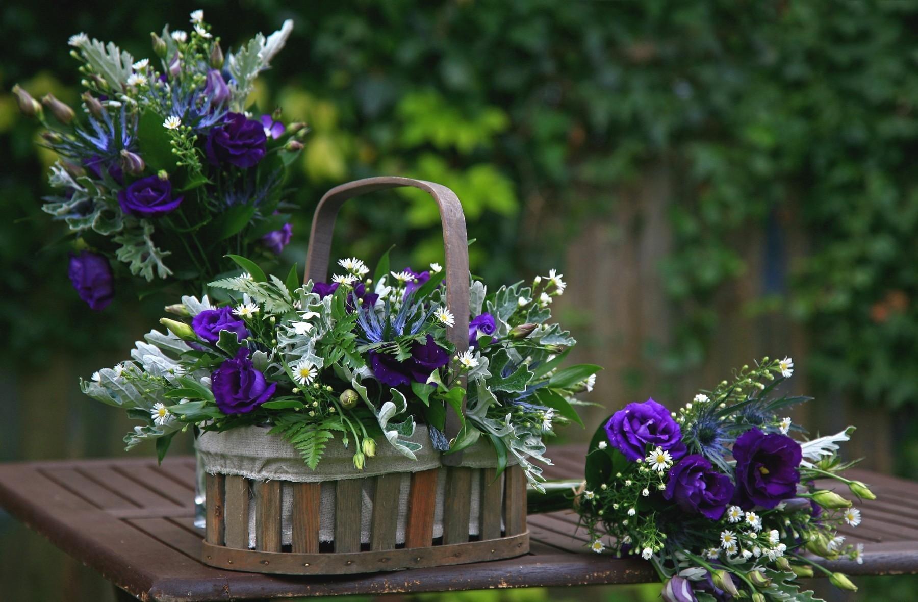 Purple petaled flowers in brown baskets HD wallpaper