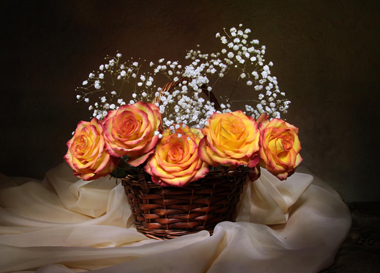 Desktop Wallpaper rose flower Wicker basket