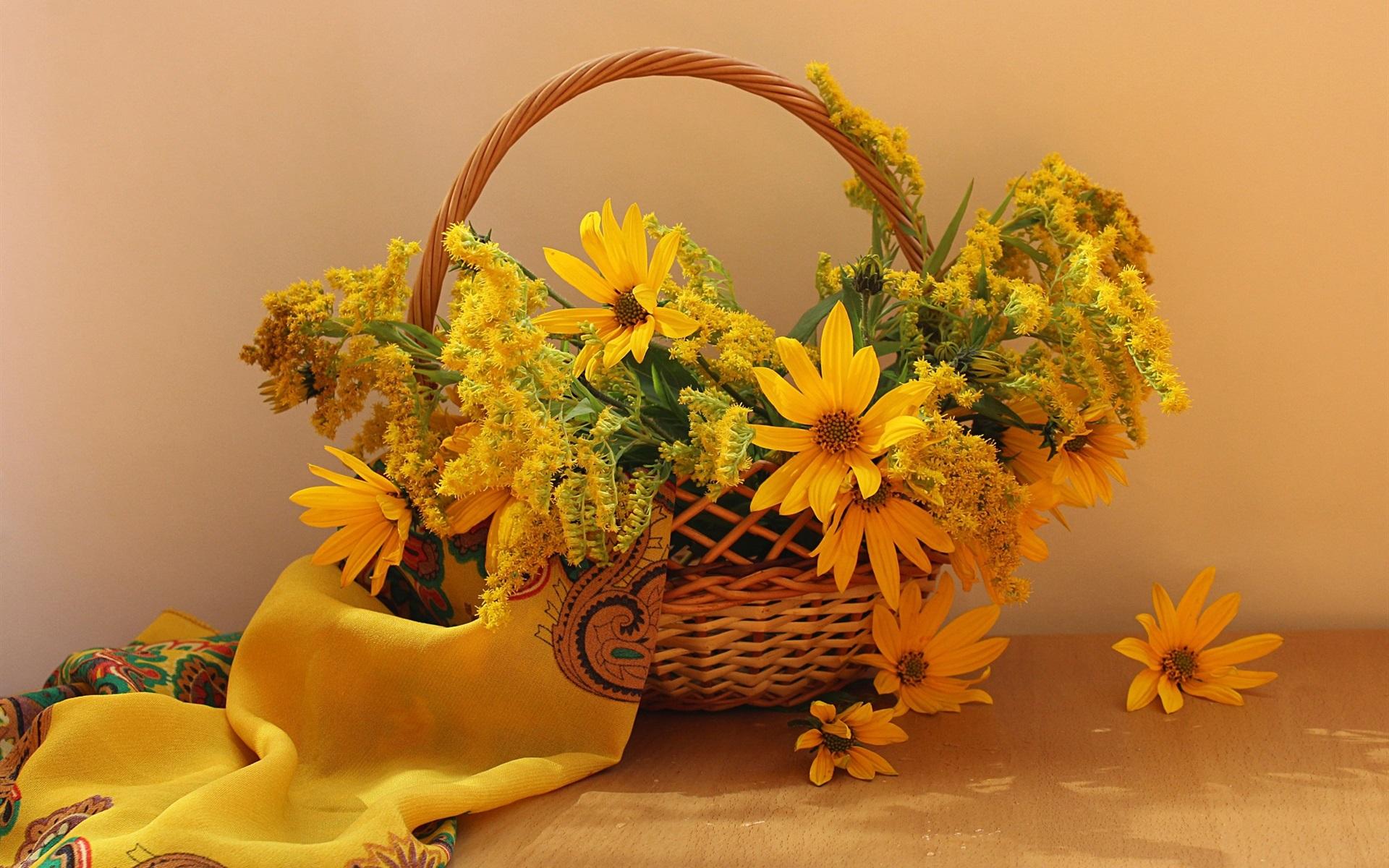 Wallpaper Yellow goldenrod flowers, basket 1920x1200 HD Picture, Image