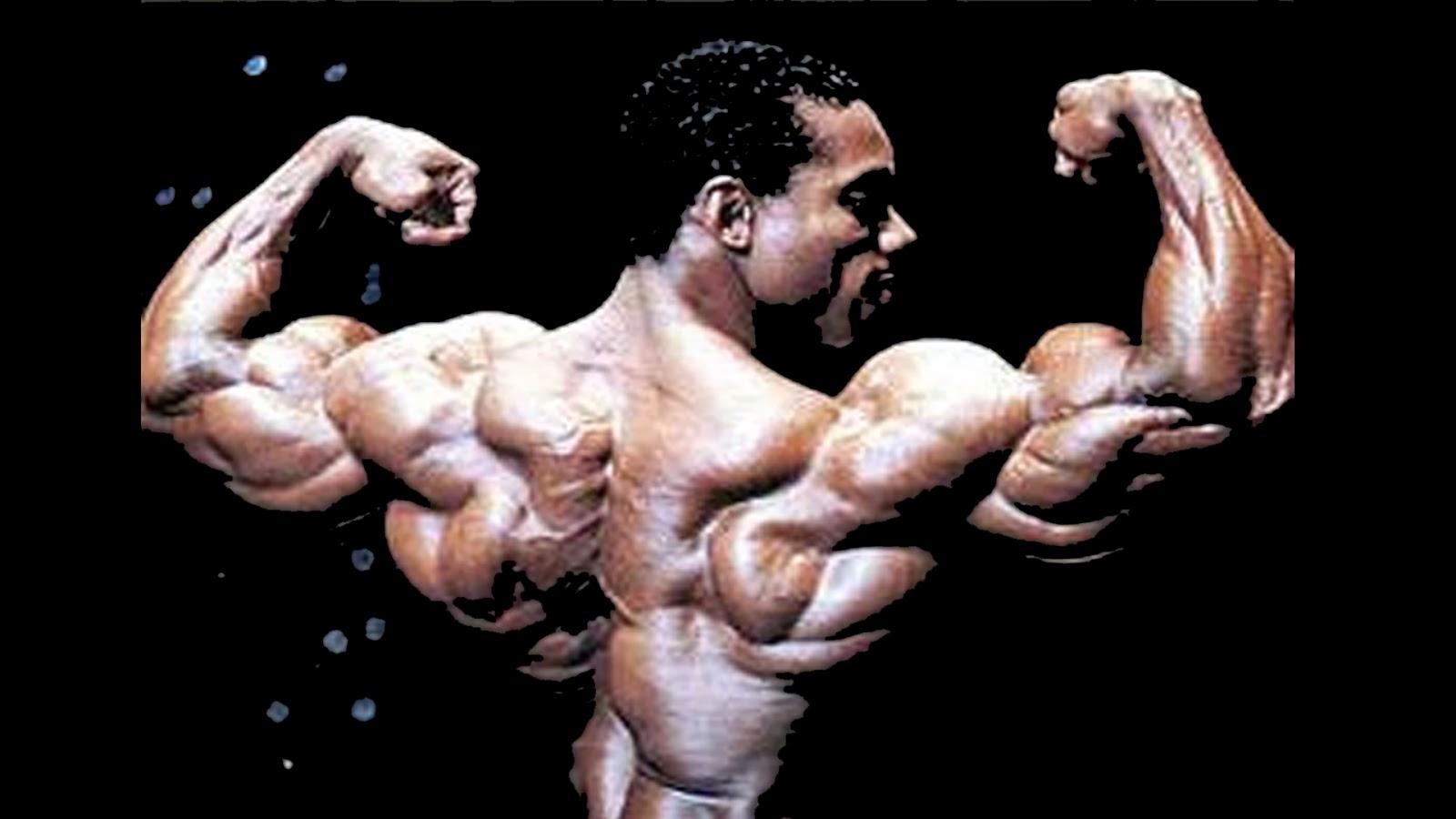 Download Wallpaper HD: Flex Wheeler Wallpaper HD