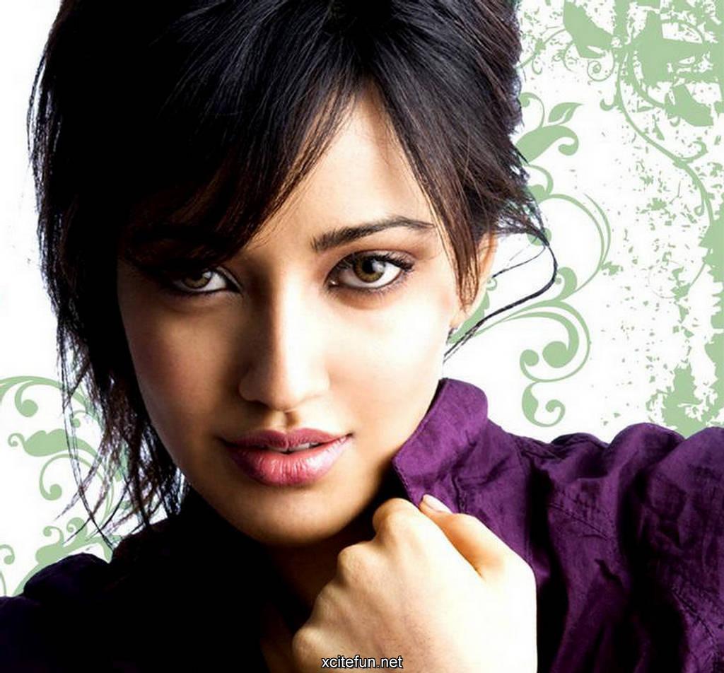 Free download Neha Sharma Indian Actress Wallpaper Indian